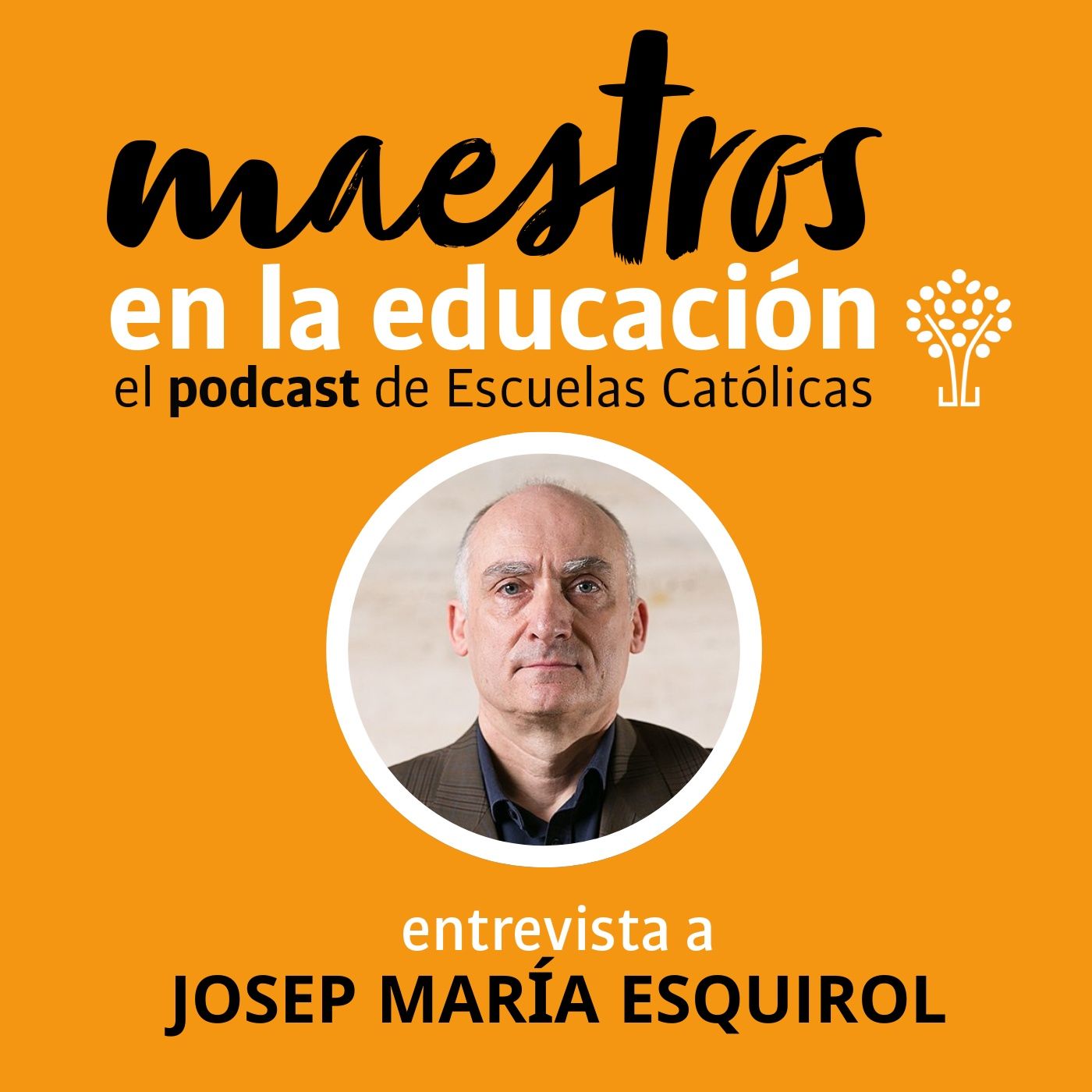 Maestros en la educación