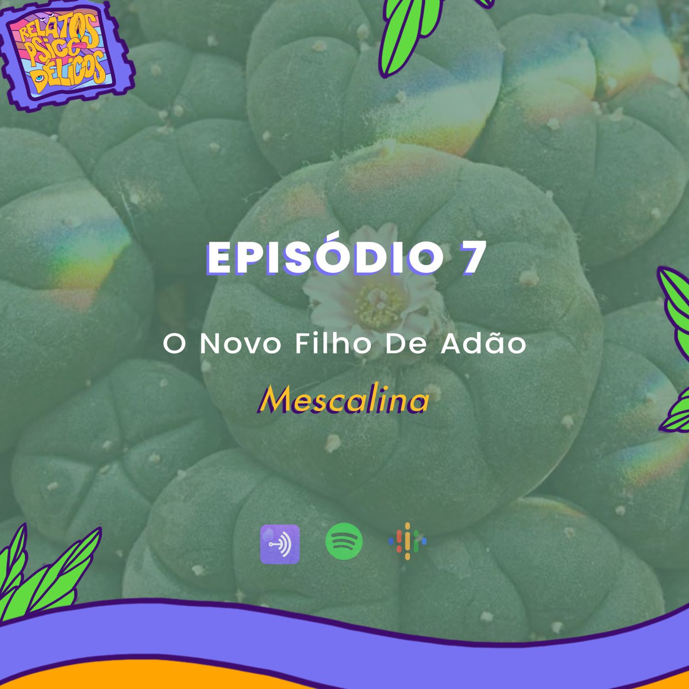 Relatos Psicodélicos