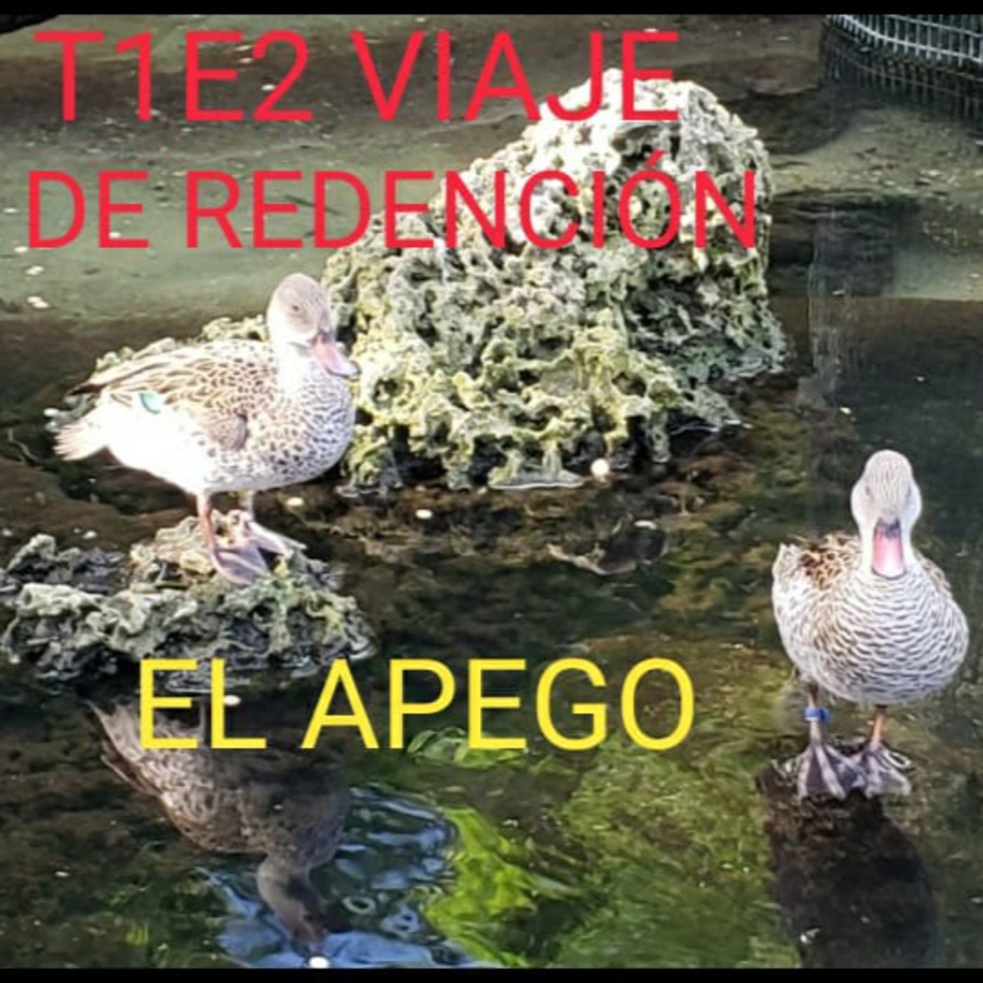 El Transistor Temas al Aire Libre