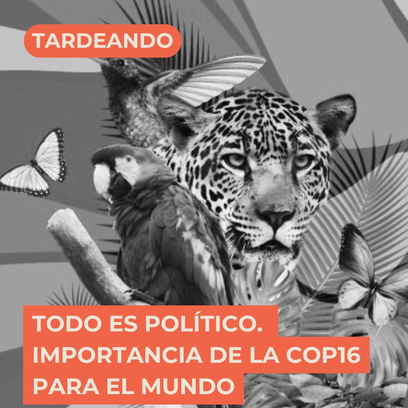 Todo es Político :: La importancia de la COP16 para el mundo episode artwork