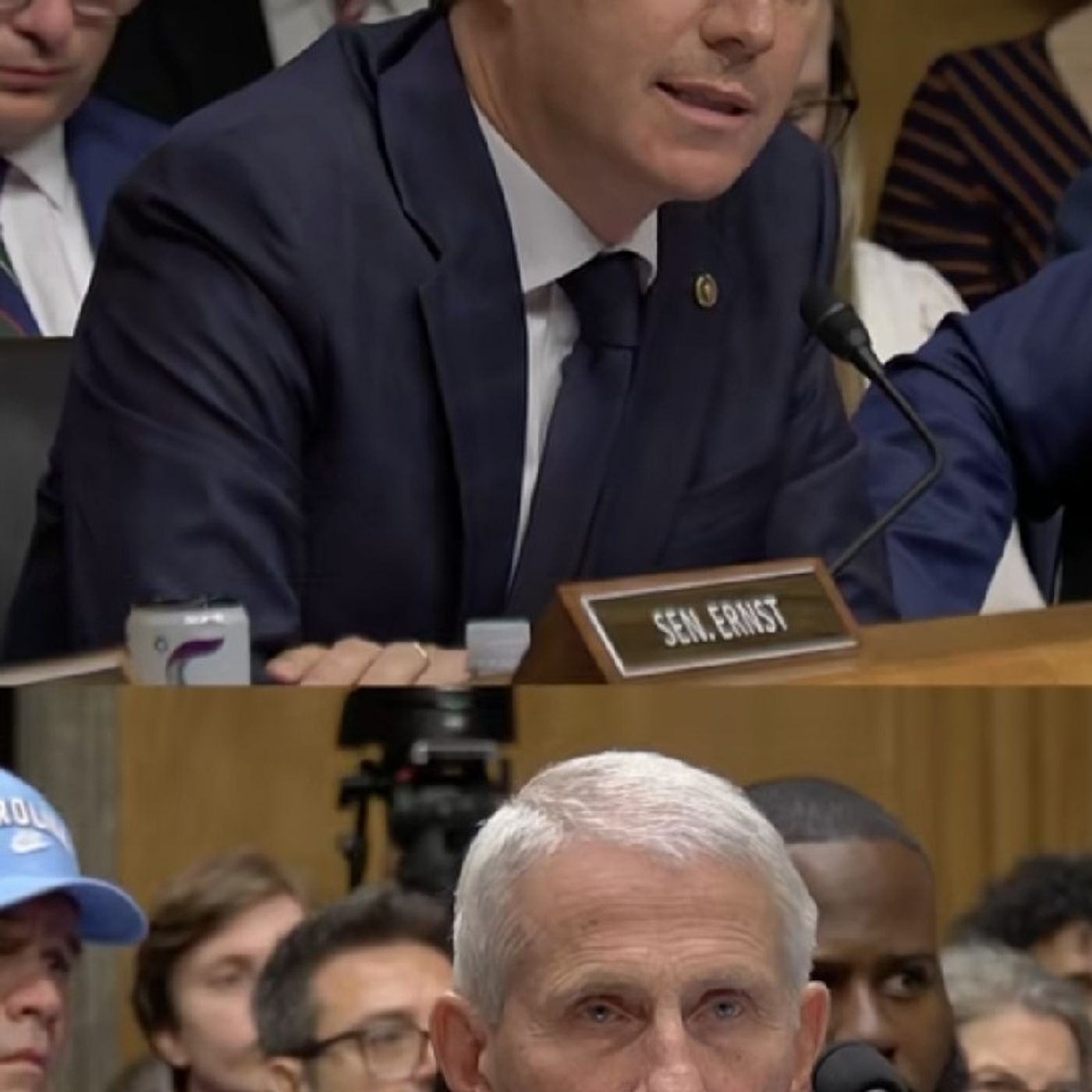 At a contentious Senate hearing on the US government’s response to the Covid-19 episode artwork