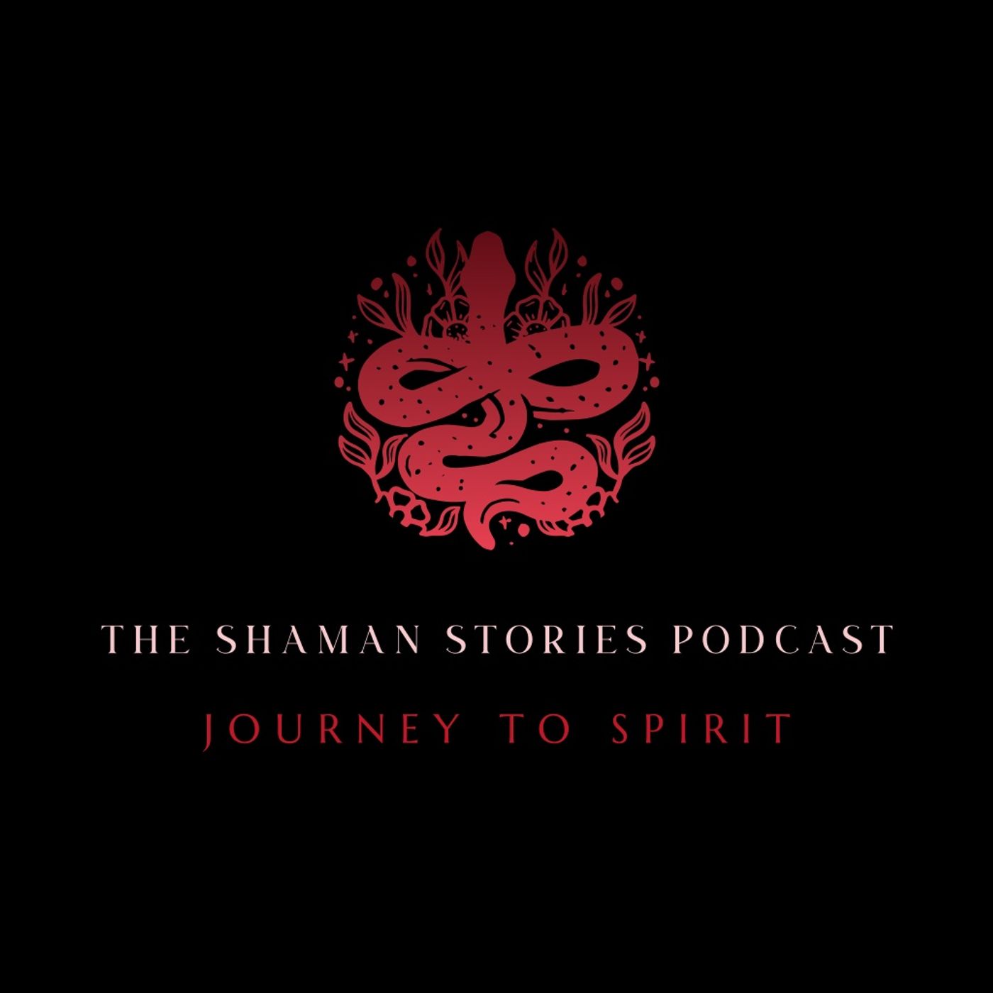 The Shaman Stories Podcast: Ep. 9 Daniel Hannah