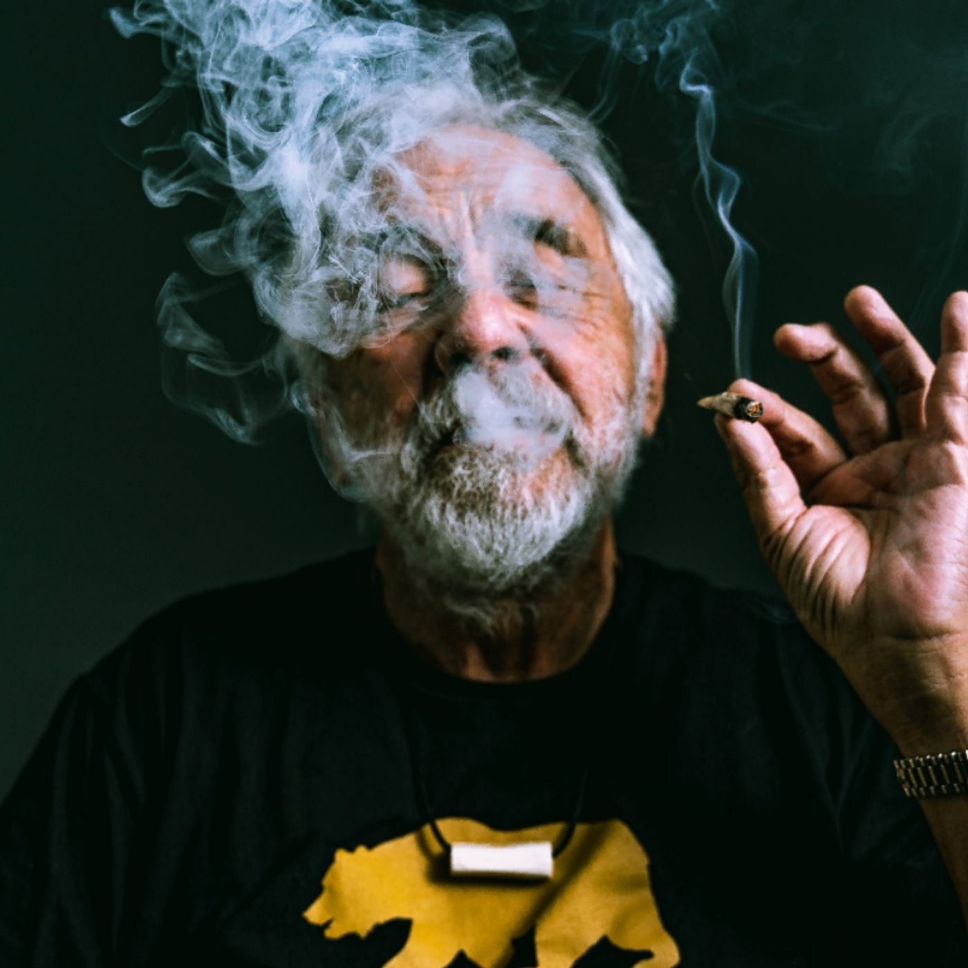 Tommy Chong - Musician / Author / Comedian / Marijuana Advocate (Cheech & Chong) #300