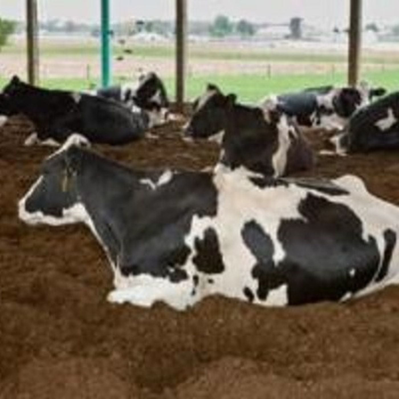 Food and Farm