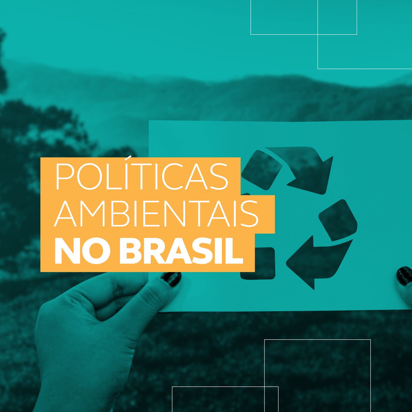 As Políticas Ambientais No Brasil