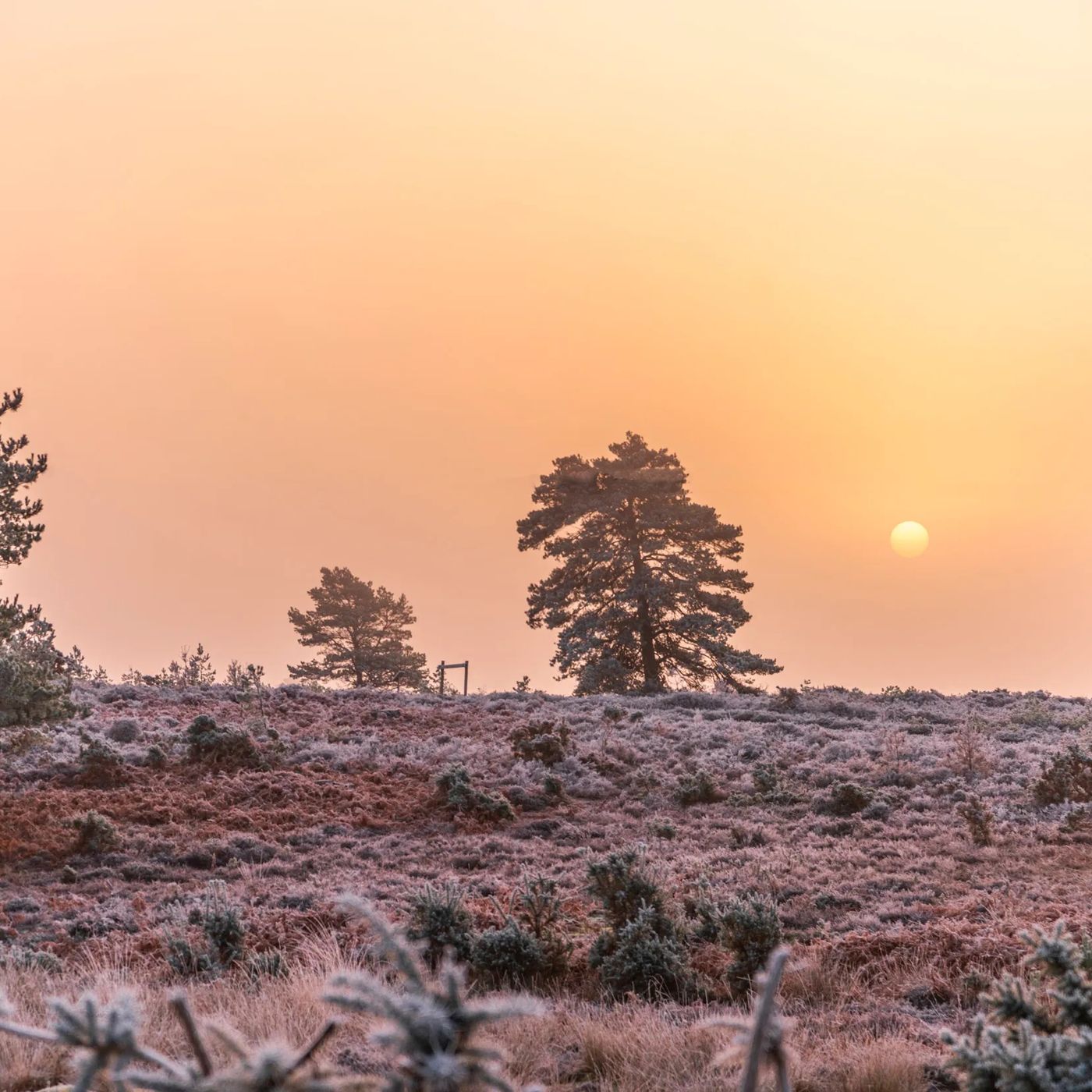 I weekend del 16/18 e 23/25 Gennaio 2026