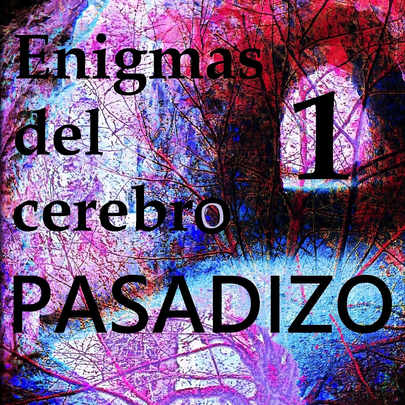 PASADIZO