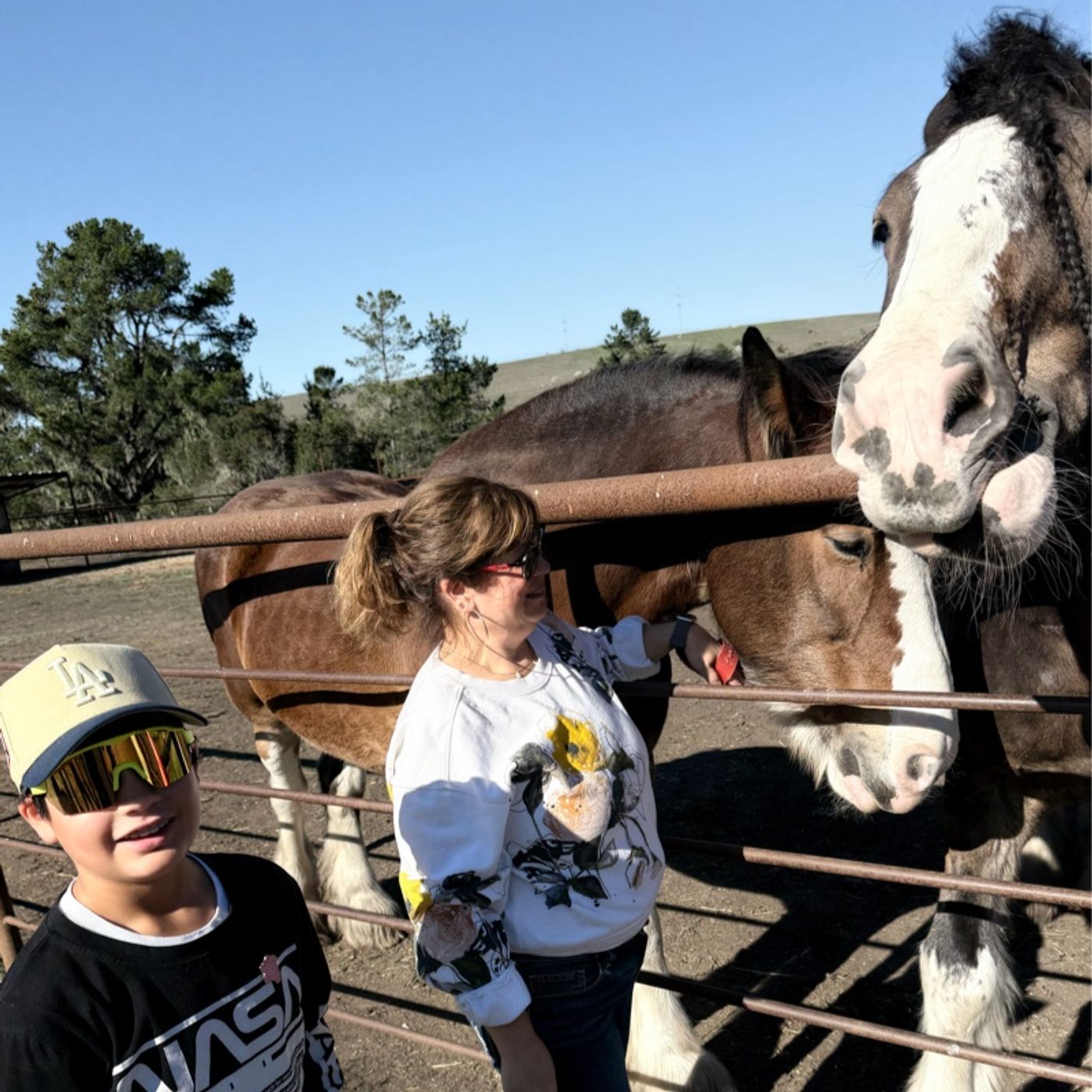 The Tia Jennie And Zeus Show - topic: horses episode artwork