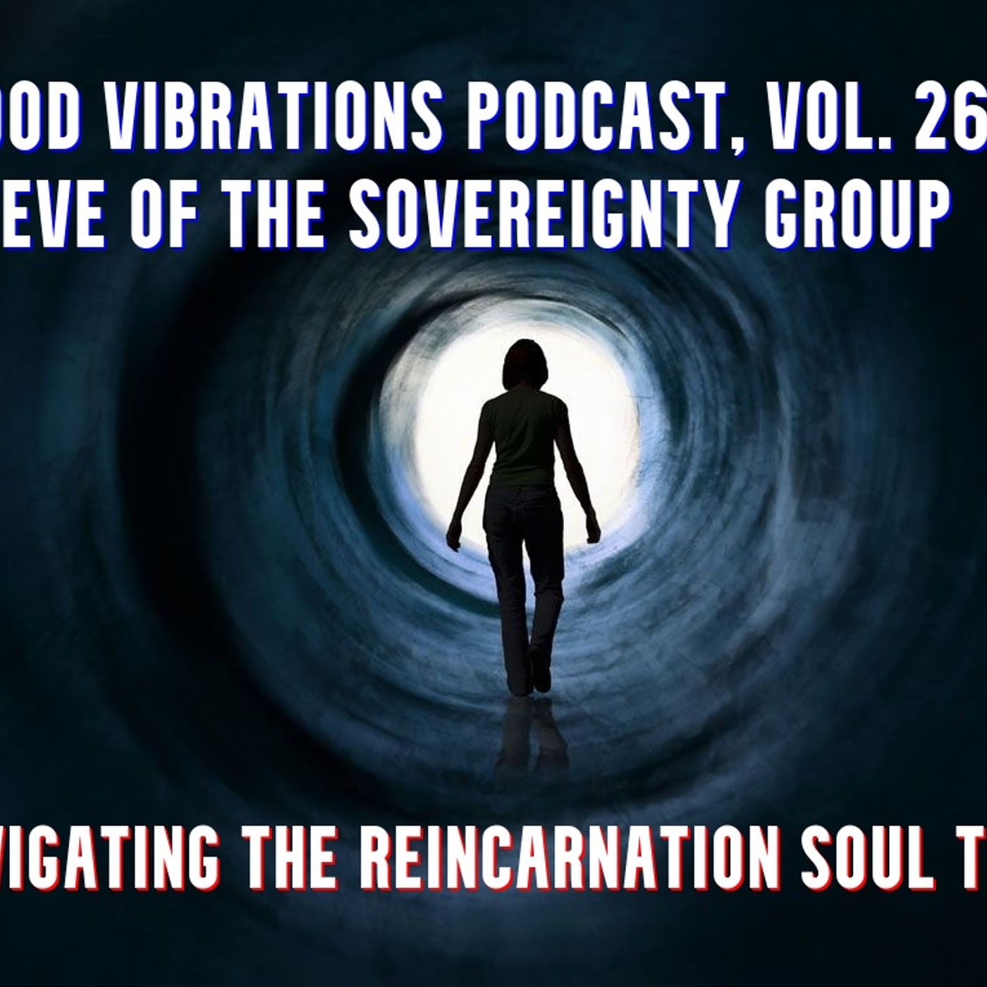 GVP #269 - Steve of the Sovereignty Group - Navigating the Reincarnation Soul Trap