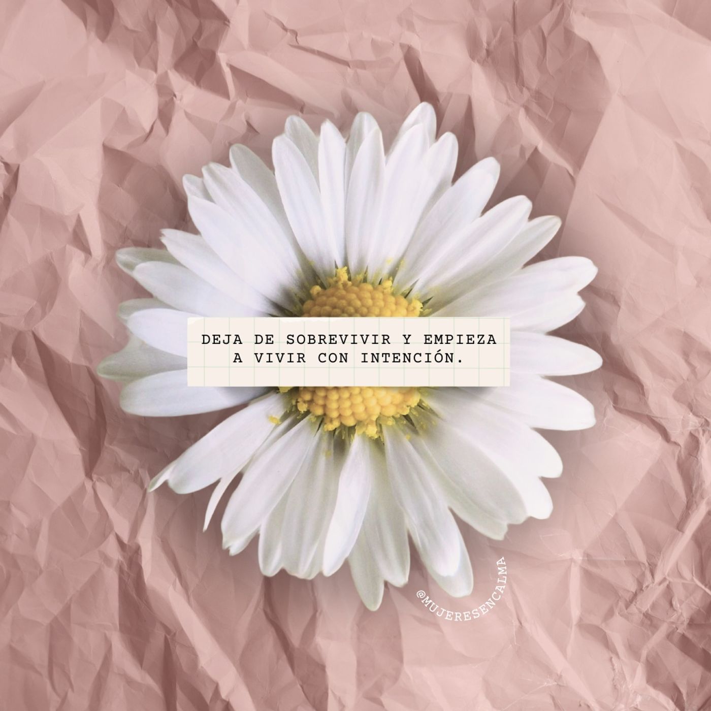 209 - Deja de sobrevivir y empieza a vivir con intención