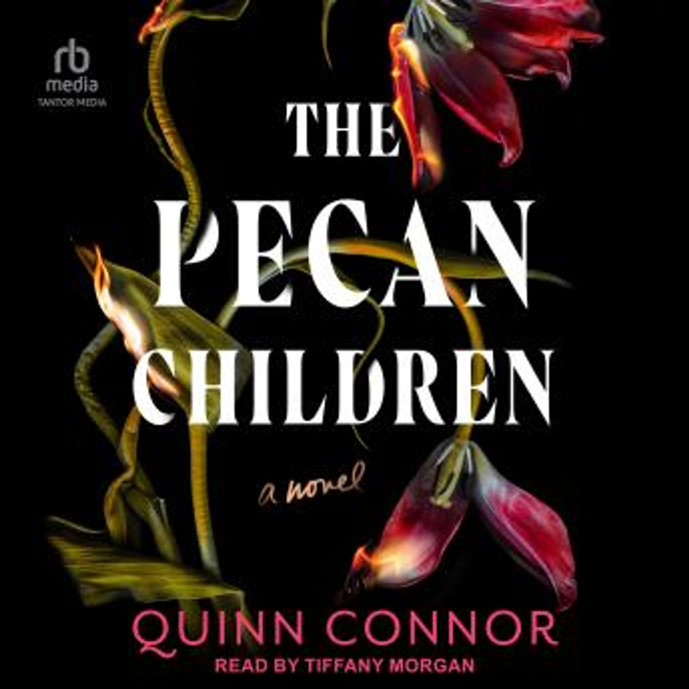 Listen to New Full Audiobooks in Fiction, Contemporary Women
