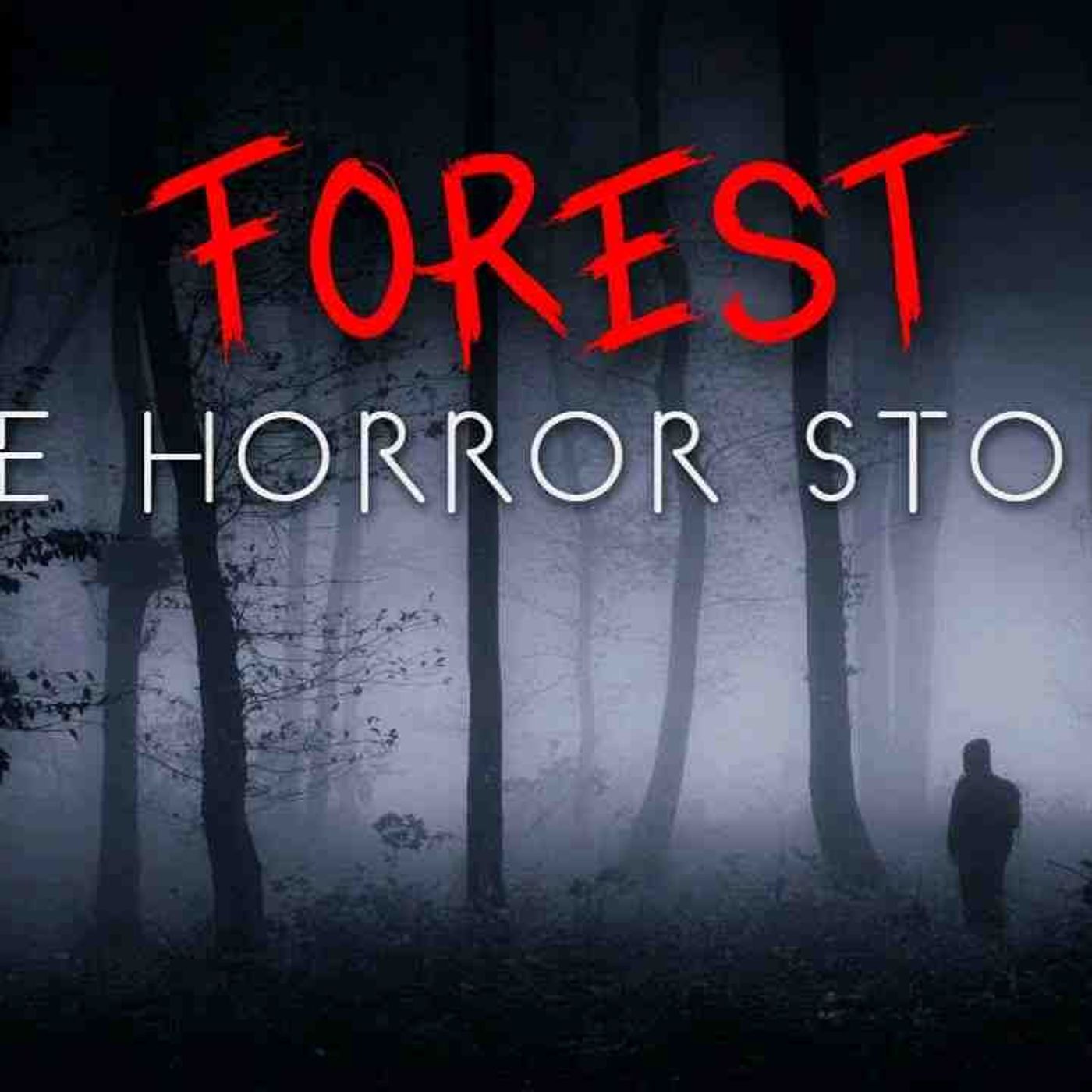 3 True Deep Forest at Night Horror Stories