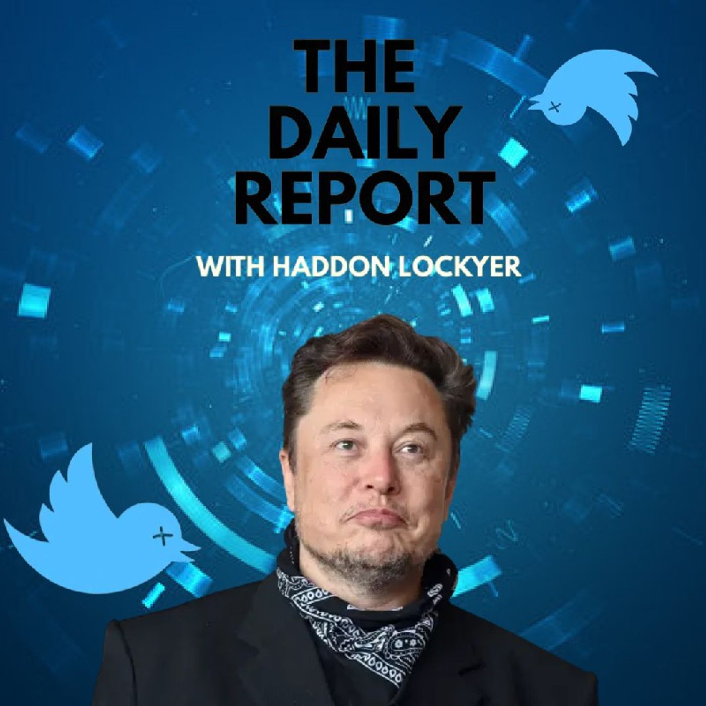 Episode 15 - Elon Musk May Save The Internet | The Haddon Lockyer Show