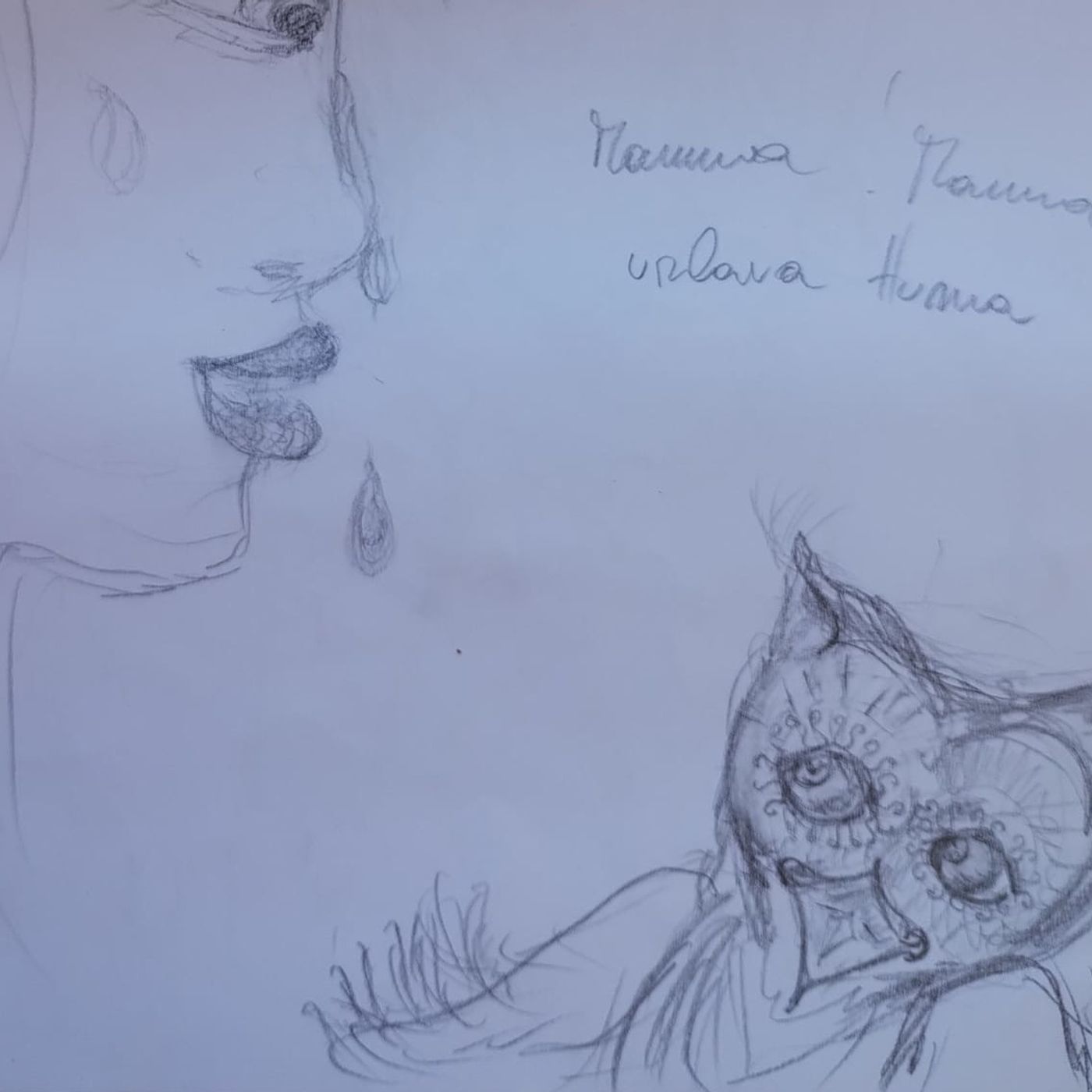 Viburno e Betulla episode artwork