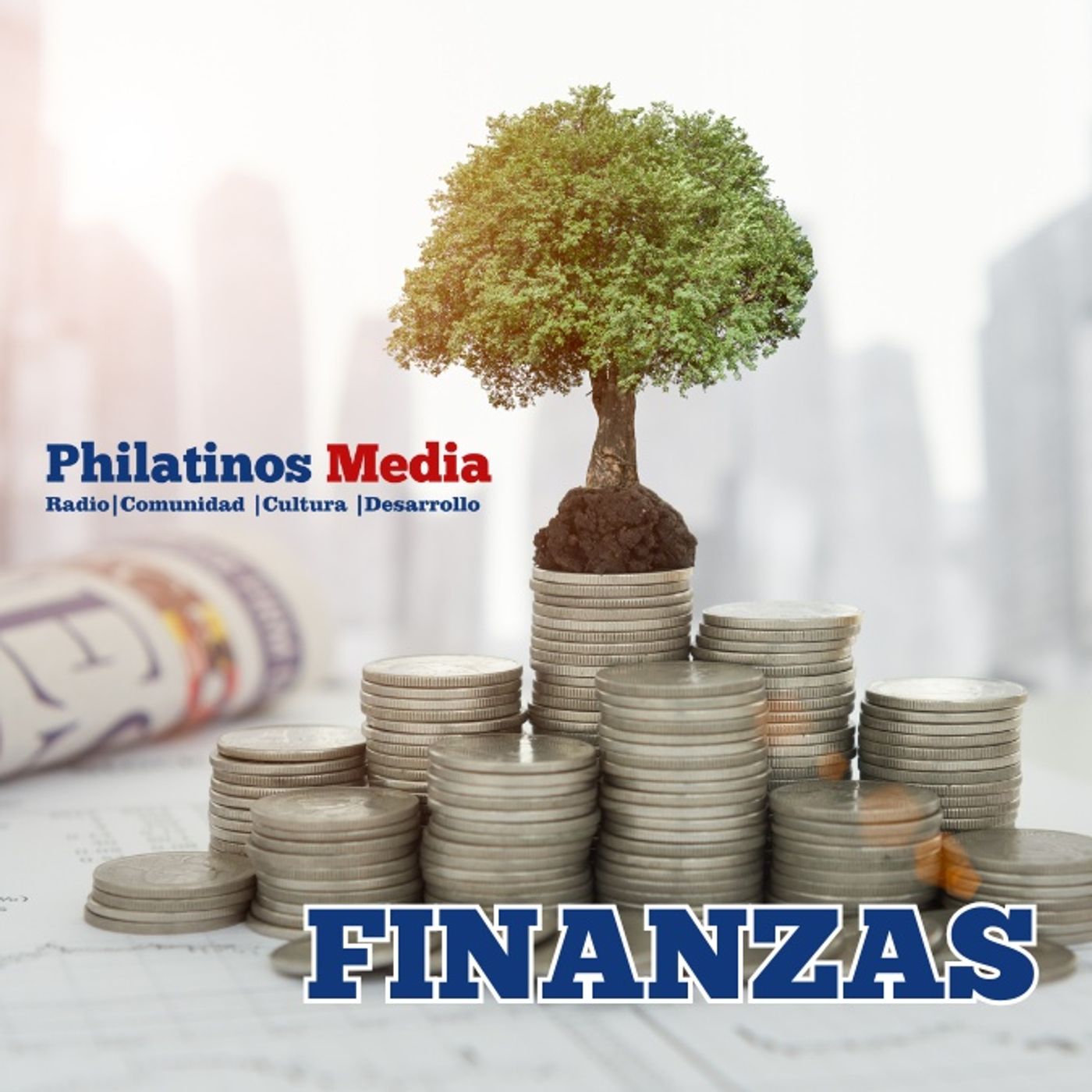 Philatinos Empresarial y Finanzas
