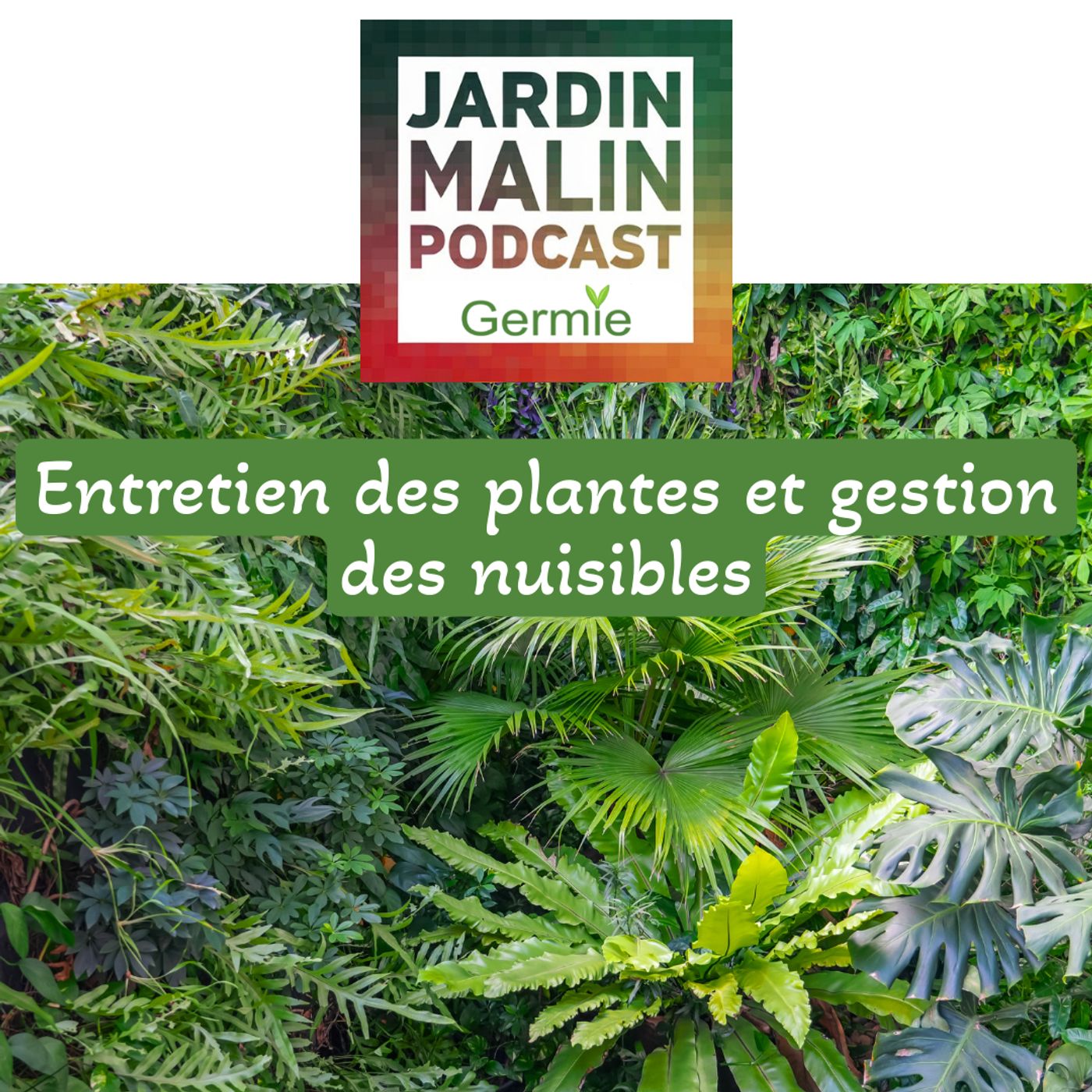 Entretien des plantes et gestion des nuisibles