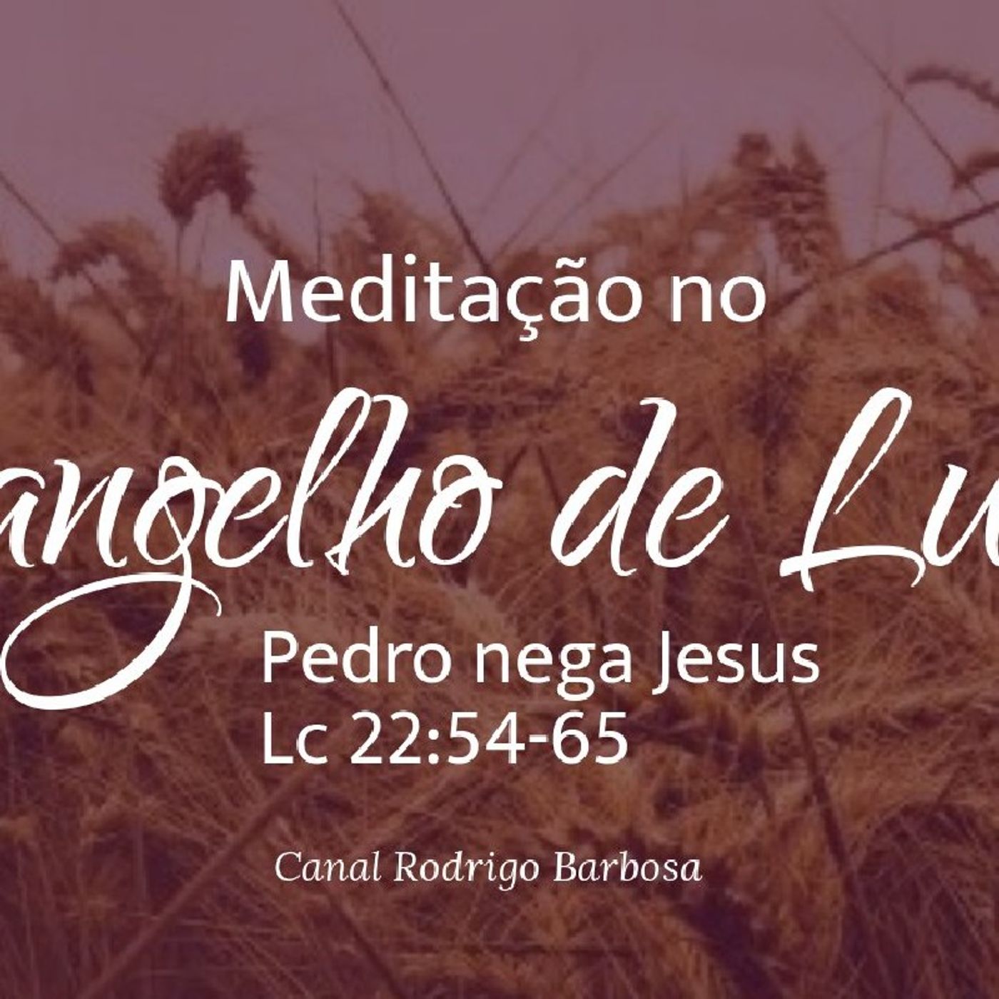 Rodrigo Barbosa