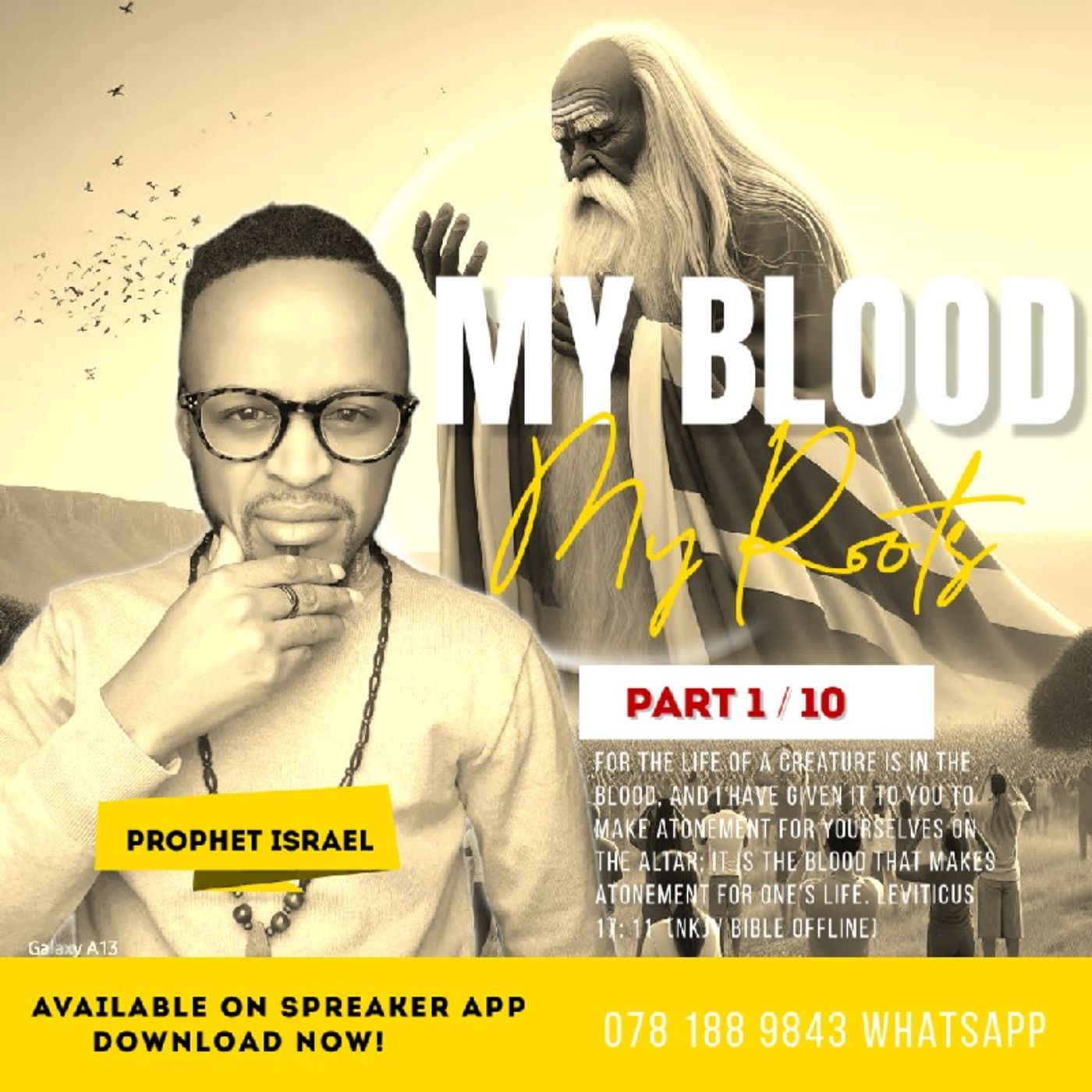 My blood my Roots! episode artwork
