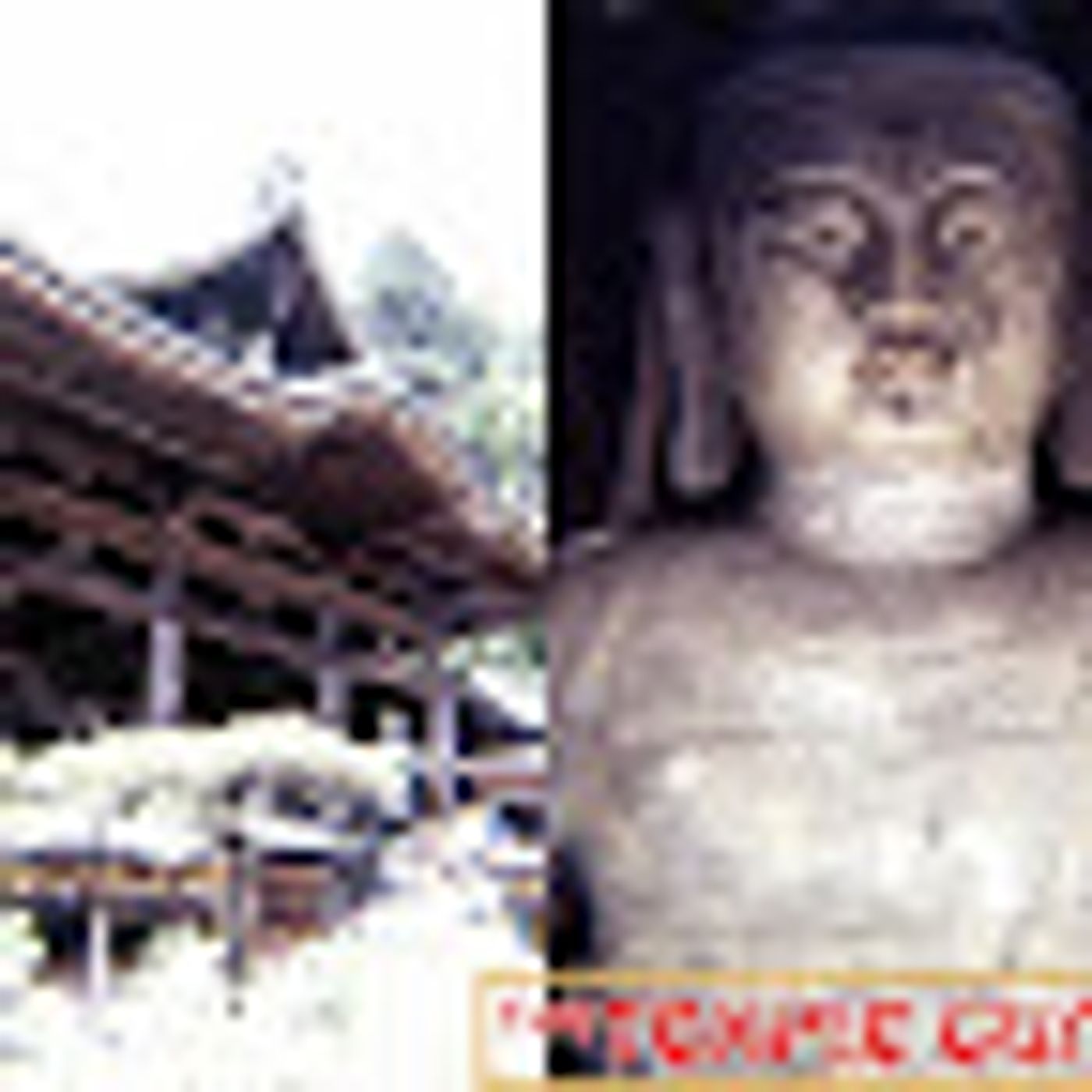 Temple Tales Newsletter and Podcast