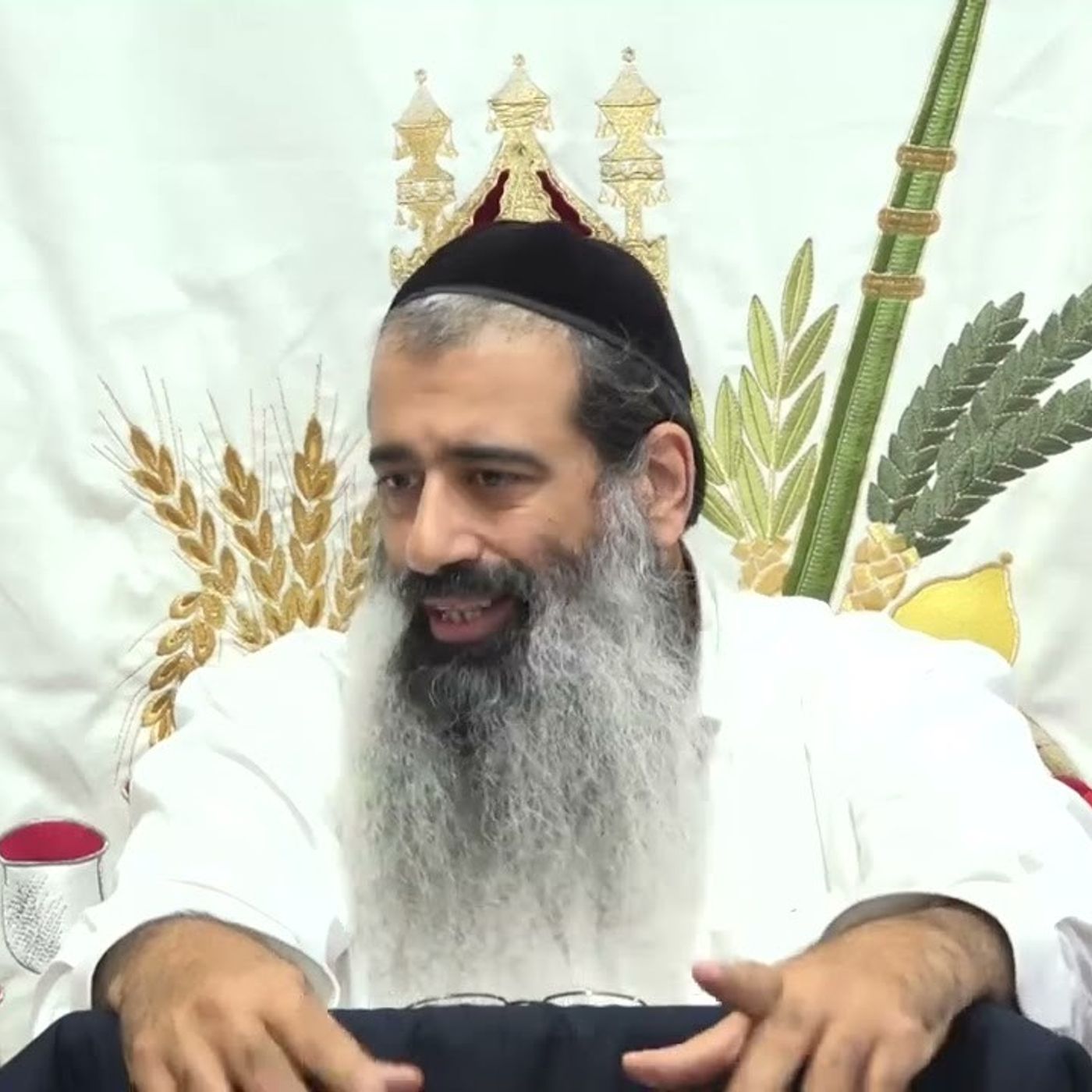 פנימיות דחיצוניות 18 episode artwork