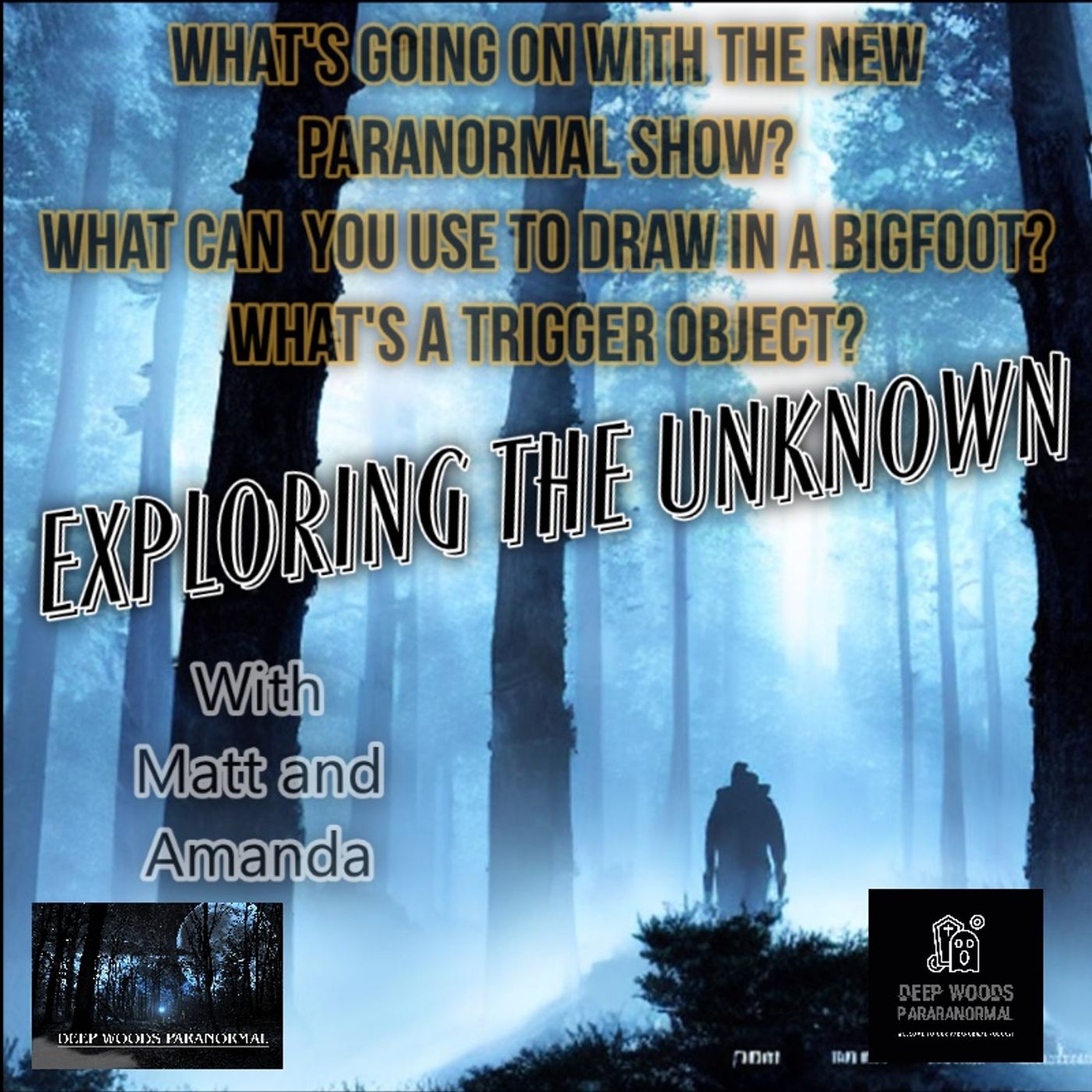 Come explore the paranormal files as we delve into the unexplained. The paranormal podcast.