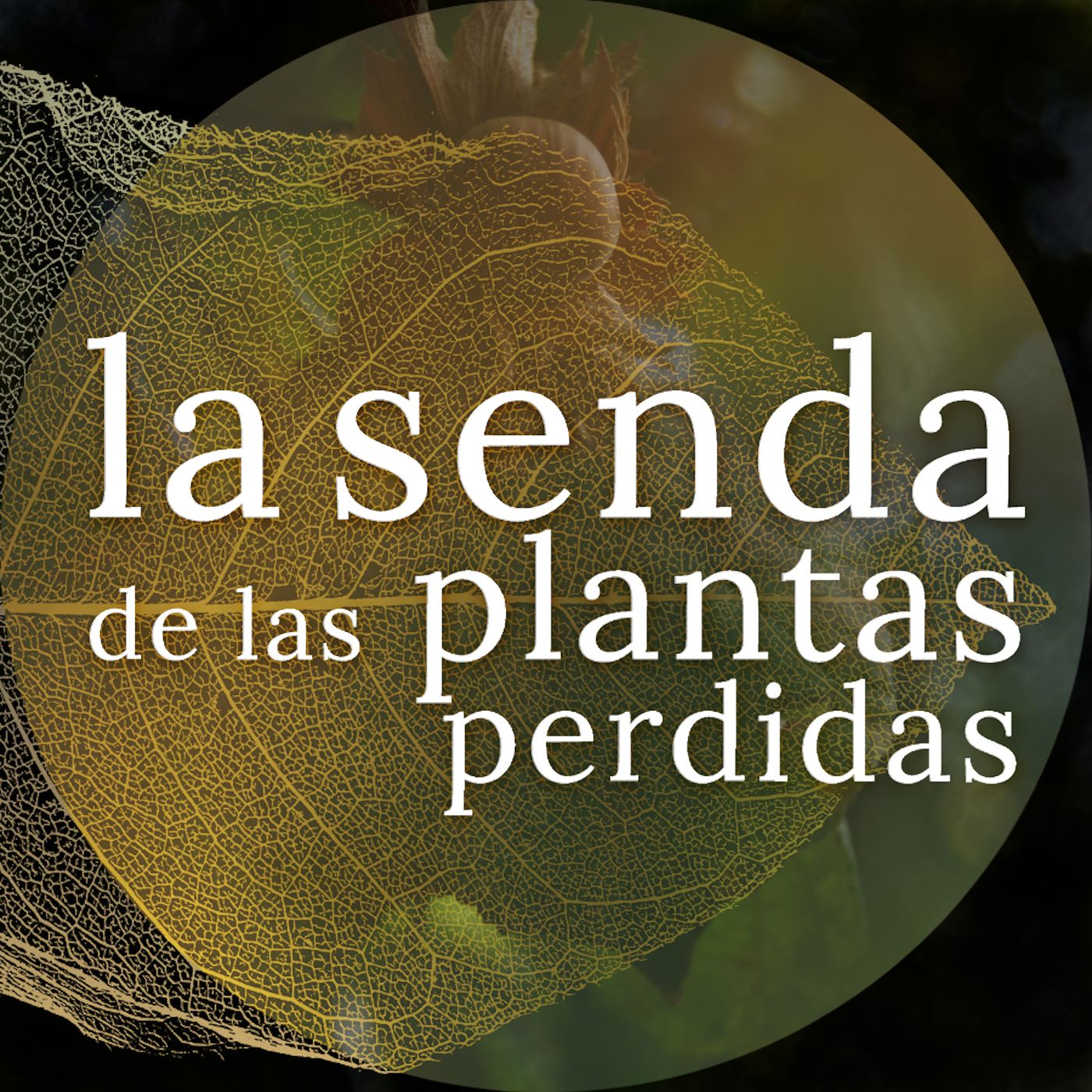 La Senda de las Plantas Perdidas