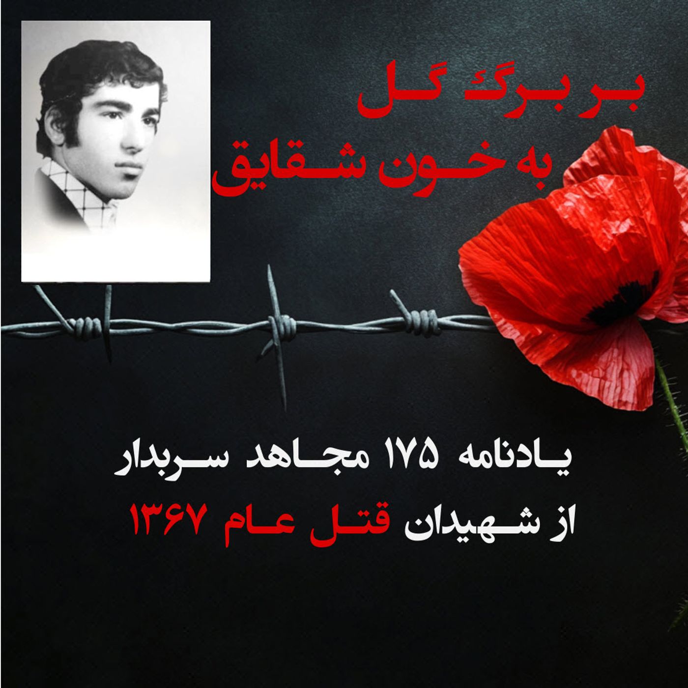 بربرگ گل به خون شقایق- حسین رجبی episode artwork