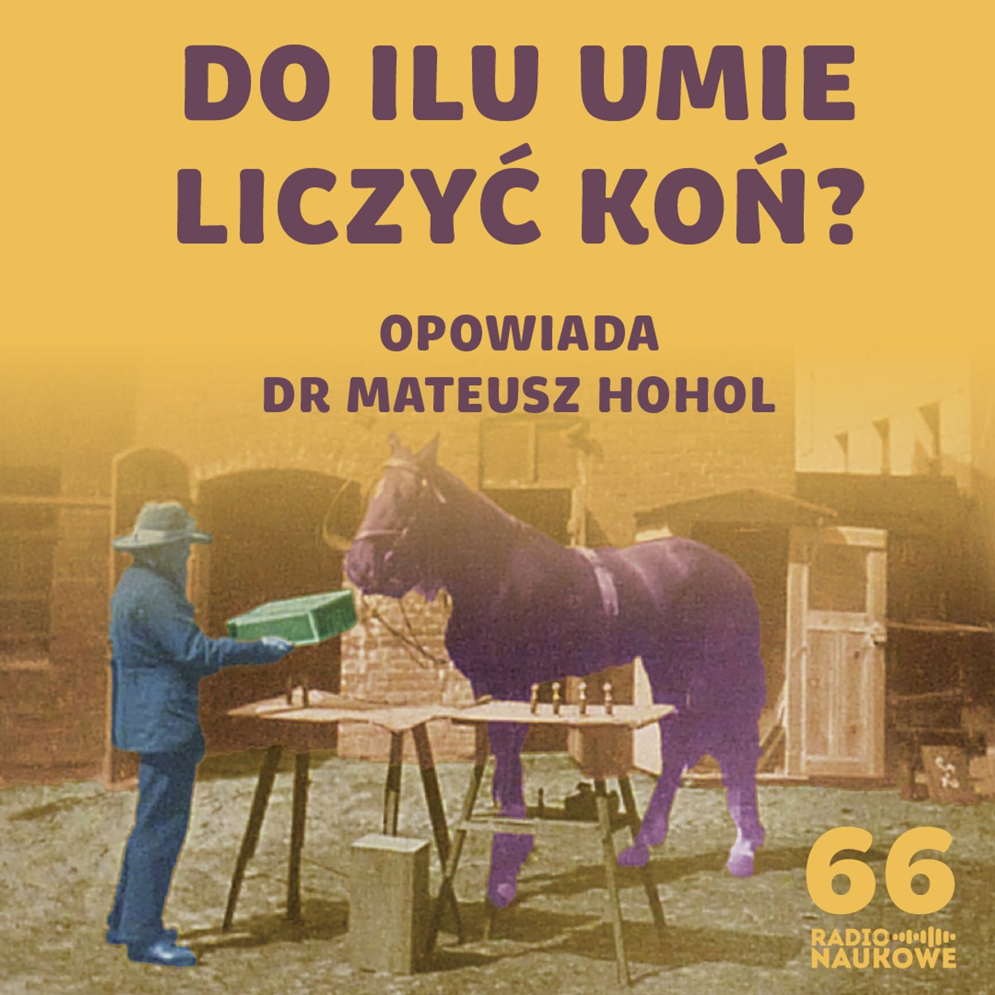 #66 Umysł matematyczny: dlaczego ludzie potrafią całkować, a szympansy nie? | dr hab. Mateusz Hohol