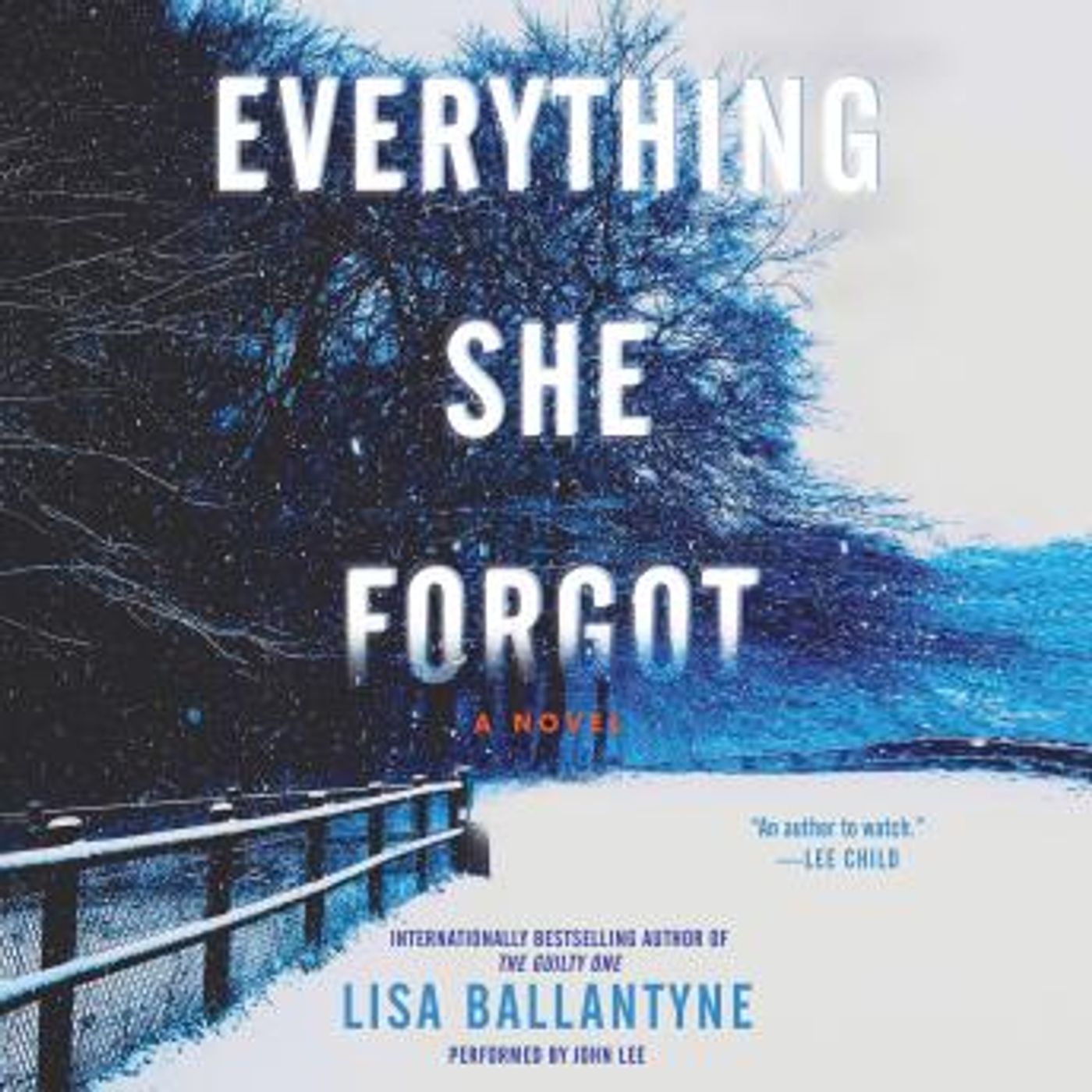 Access Essential Full Audiobooks in Fiction, Contemporary Women