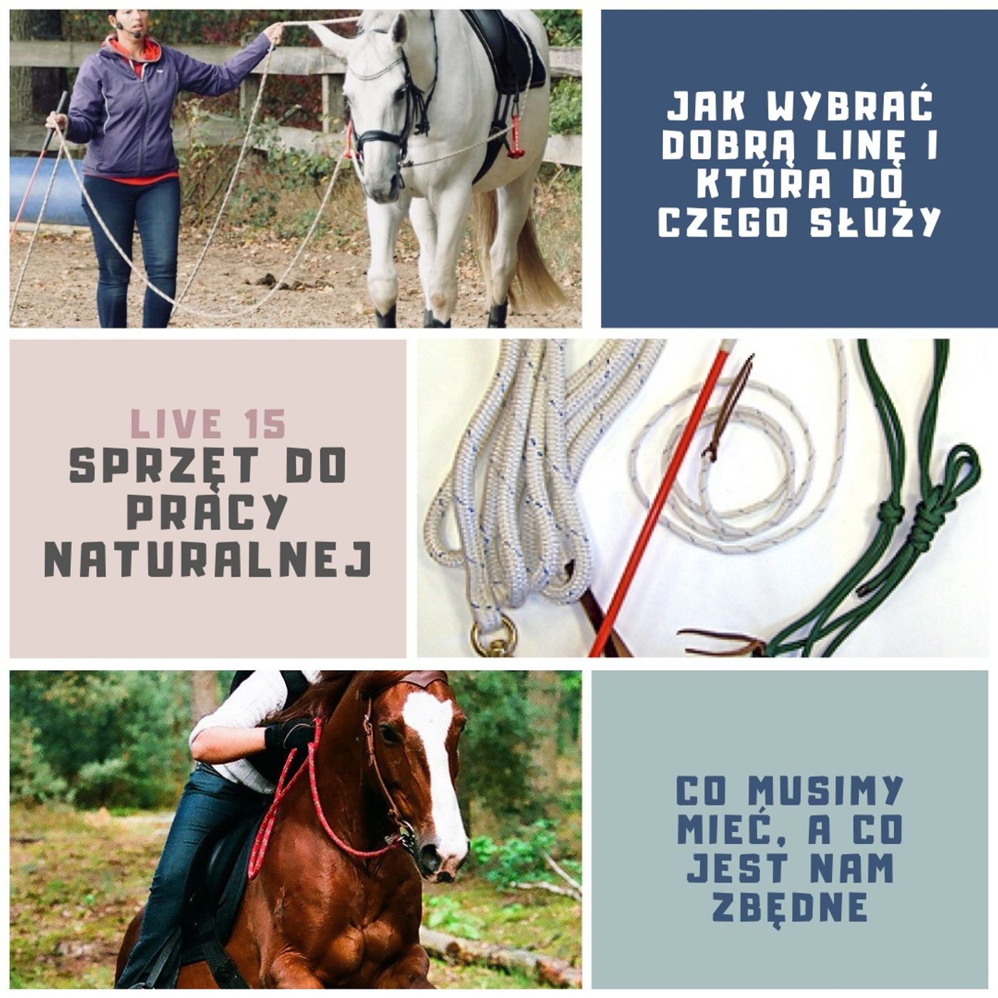 Live 15 Sprzęt do naturalnego treningu koni episode artwork