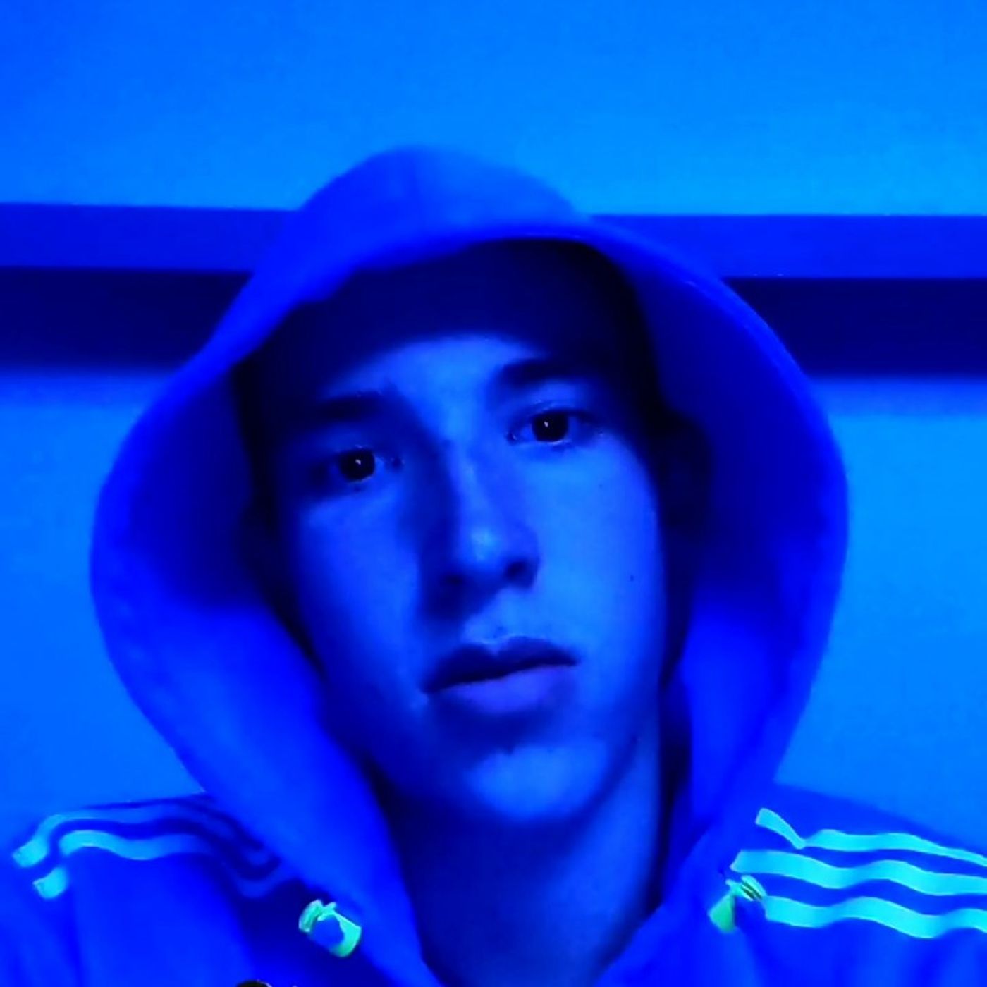 Maarten en Jeroen Gouw\'s show