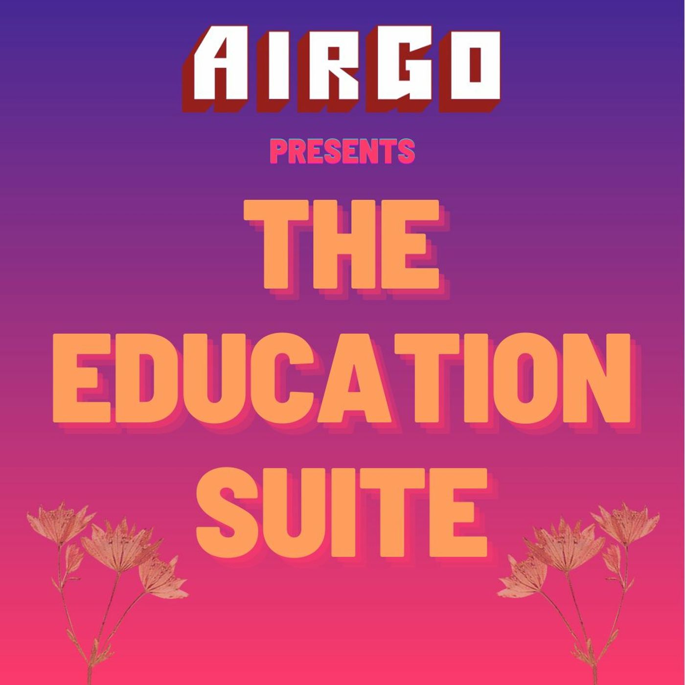 AirGo