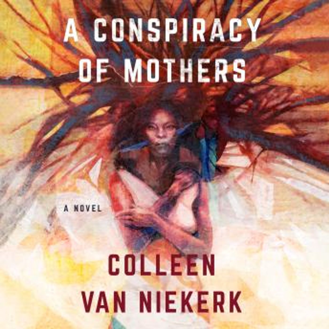 A Conspiracy of Mothers: A Novel by Colleen Van Niekerk episode artwork