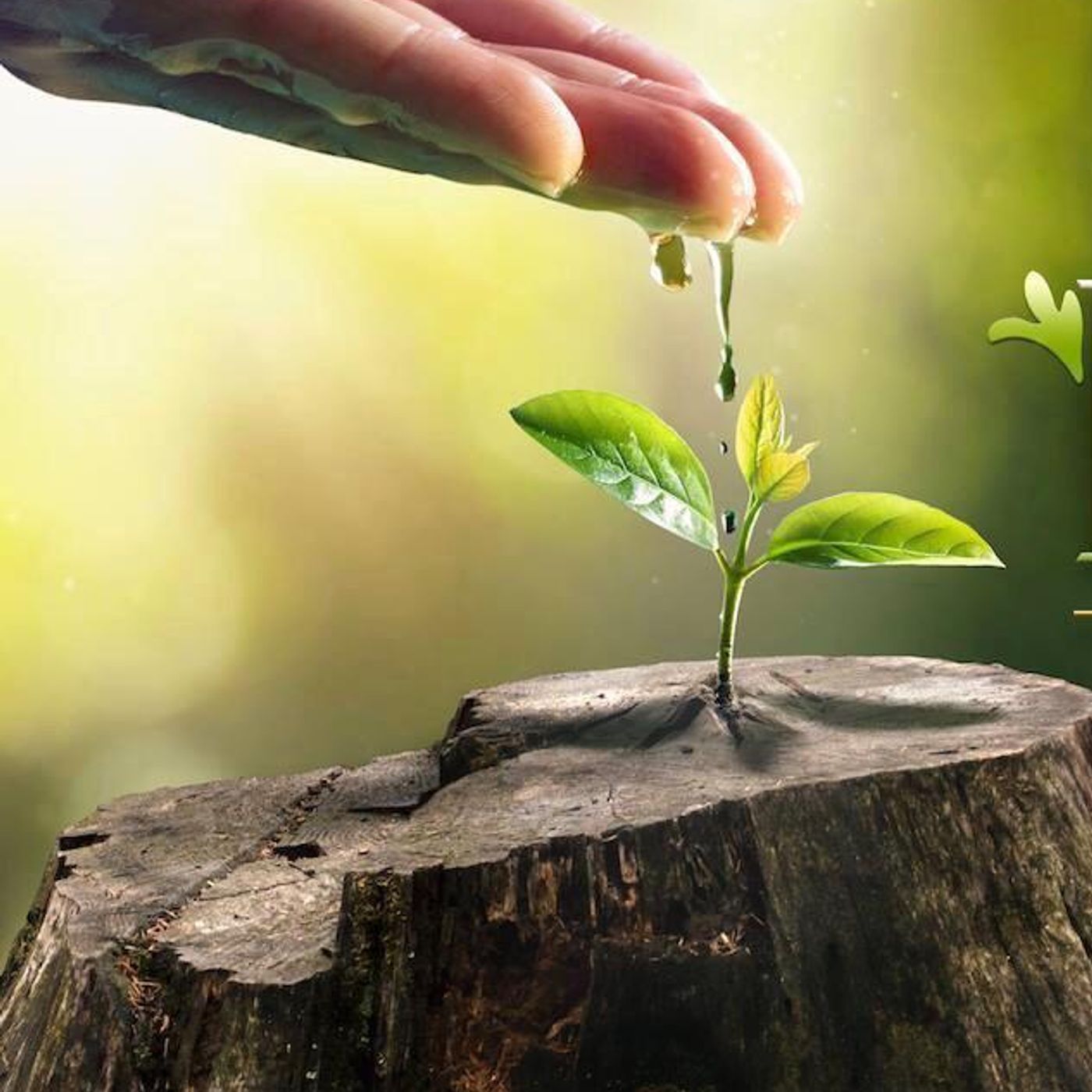 Noches Proféticas - Profeta Cristales