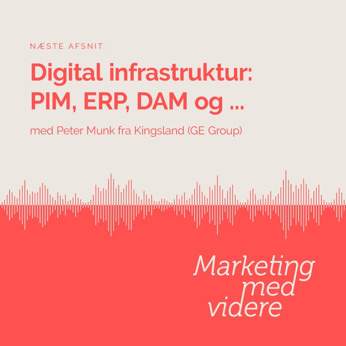 Afsnit #48: Digital infrastruktur: PIM, ERP, DAM og ...