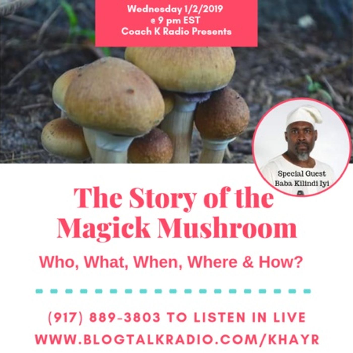 Stars, F.R.O.G.s and Mushrooms