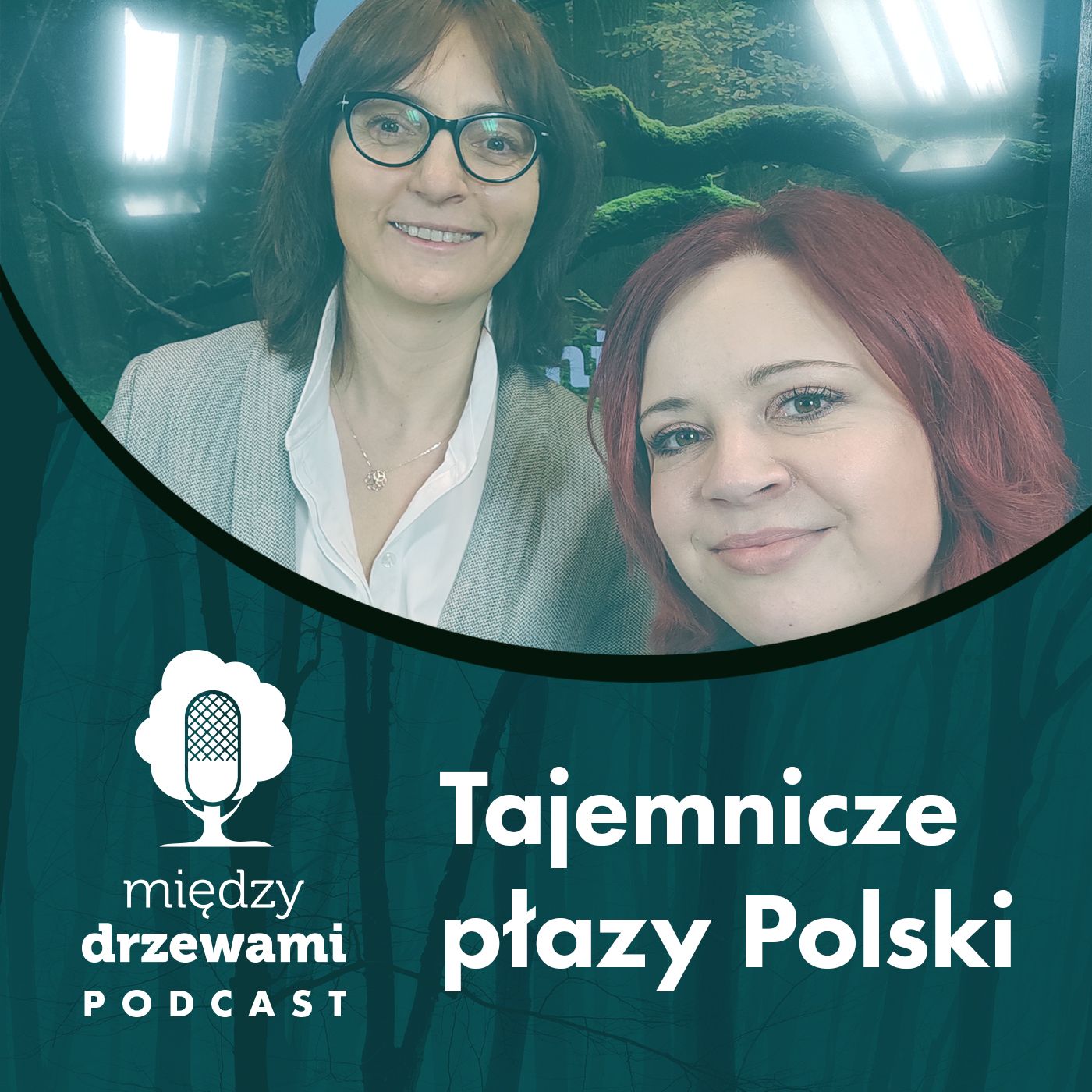 Między Drzewami Podcast