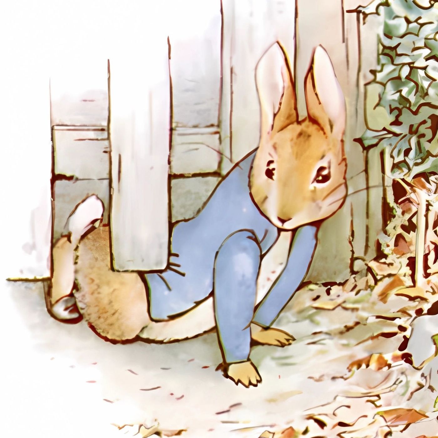 Die Geschichte von Peter Hase | Geschichten von Beatrix Potter