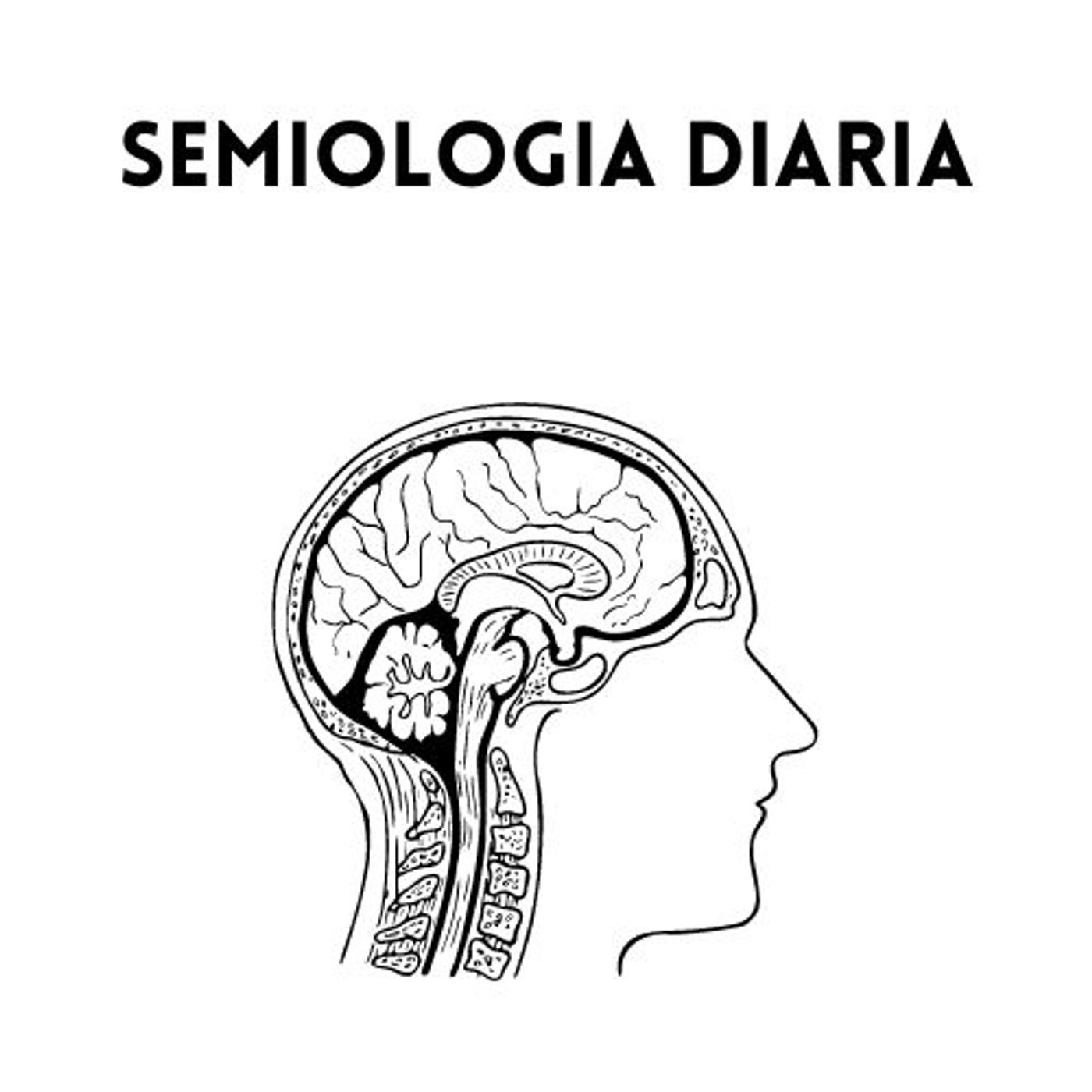 Semiologia diaria