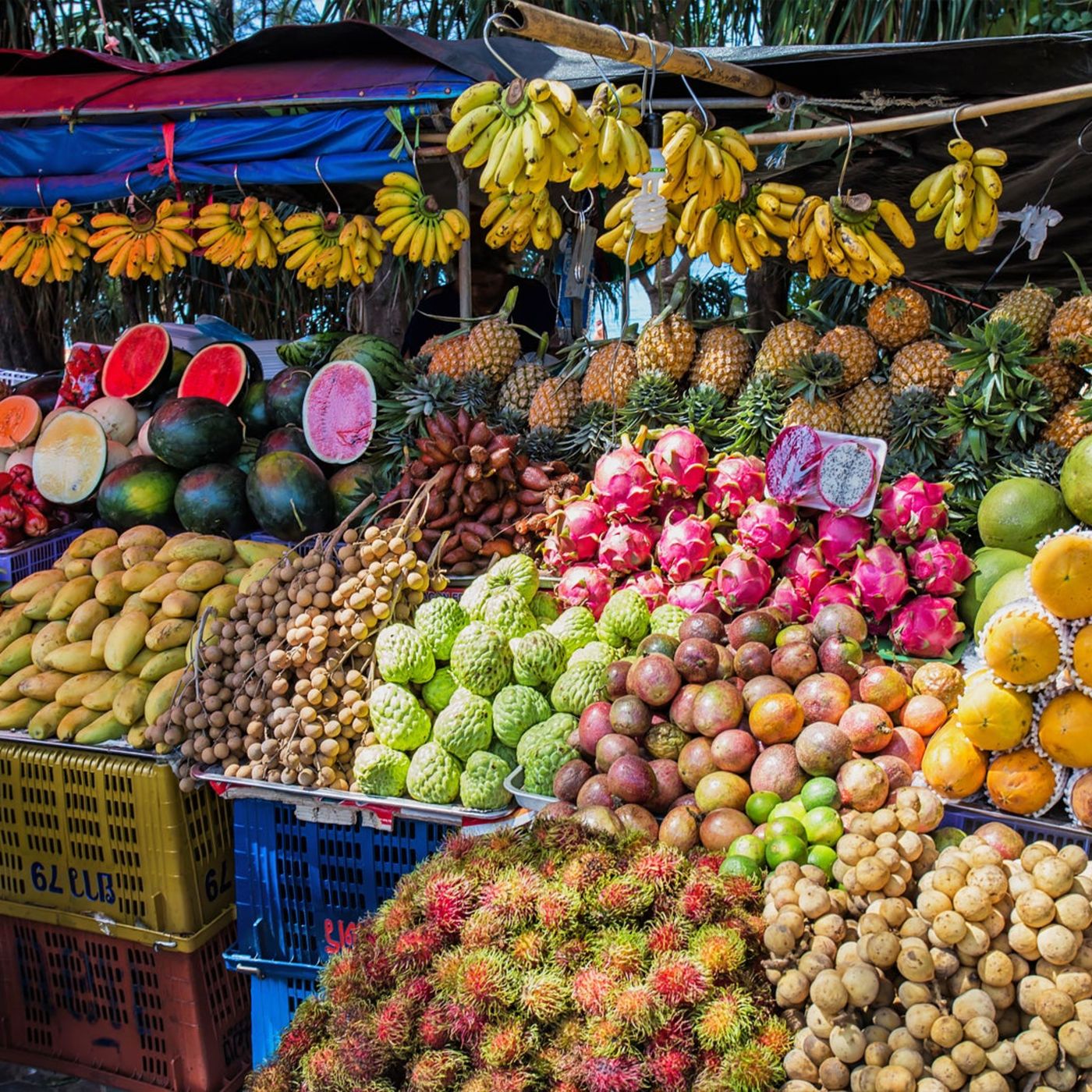 “The Fruit Market,” from John 15:1 - 16:4 episode artwork
