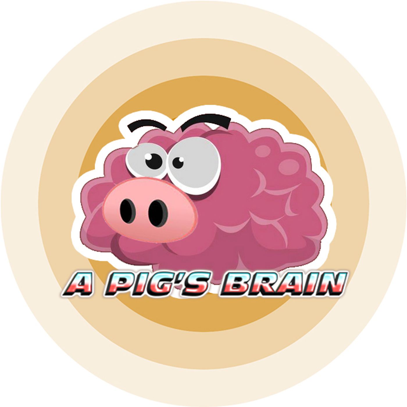 A pig's Brain
