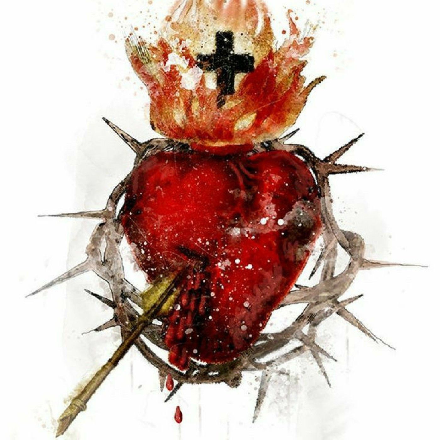 Cuore di Gesù, cuore dell' uomo