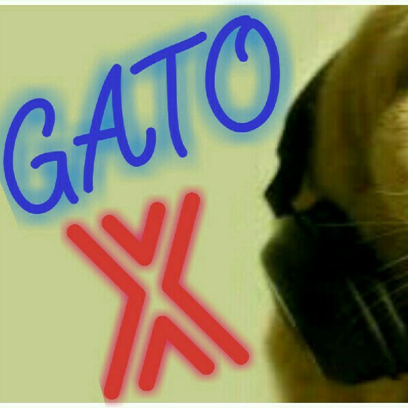 Pistas de El Gato Sin Botas