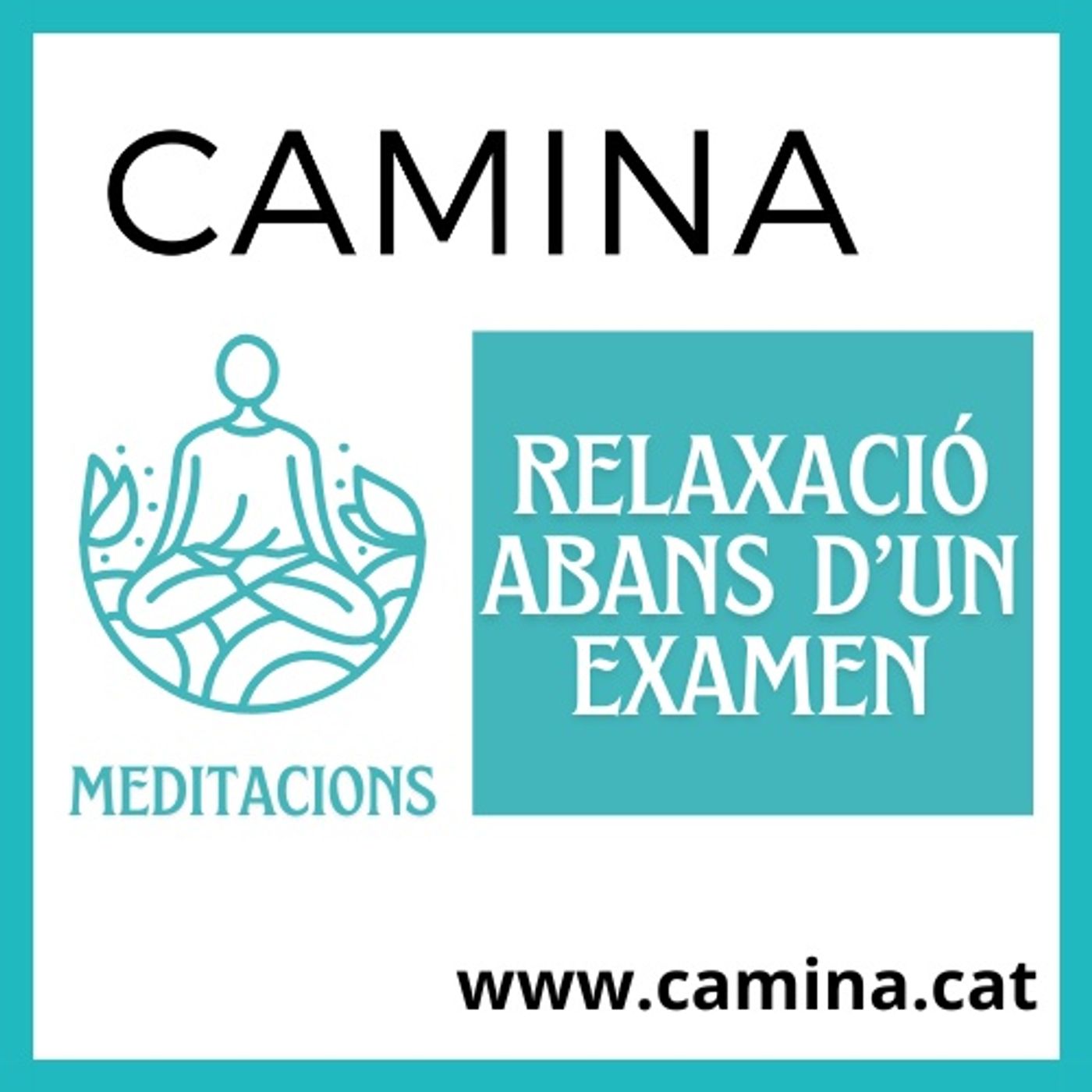 🧘 REDUCCIO DE L'ANSIETAT ABANS D'UN EXAMEN (10 minuts) episode artwork