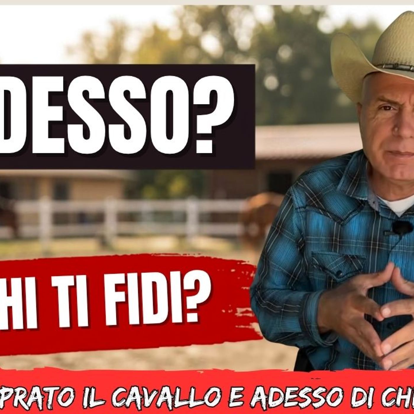 # 167 - Hai comprato il cavallo. E adesso di chi ti fidi episode artwork