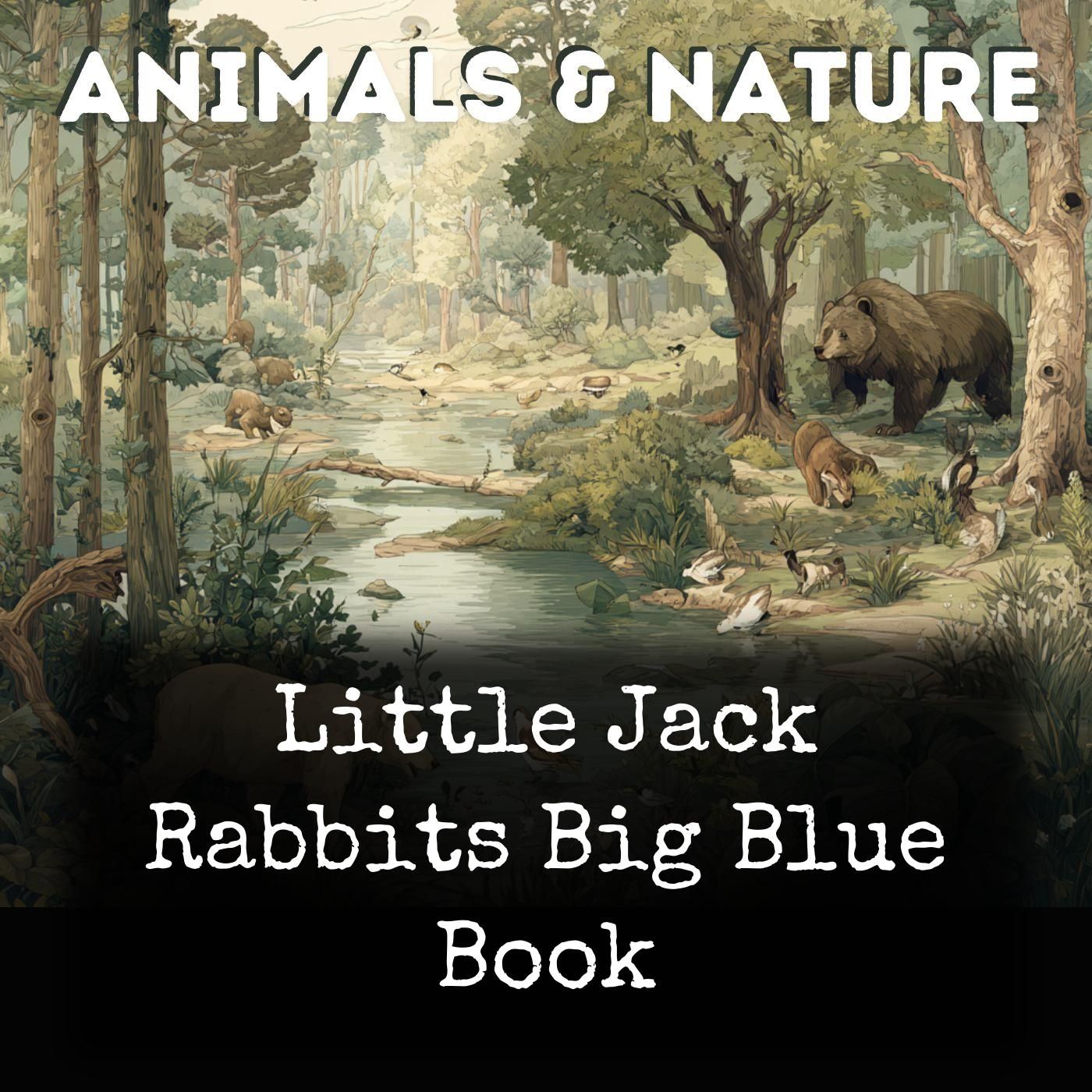 Little Jack Rabbits Big Blue Book cover art