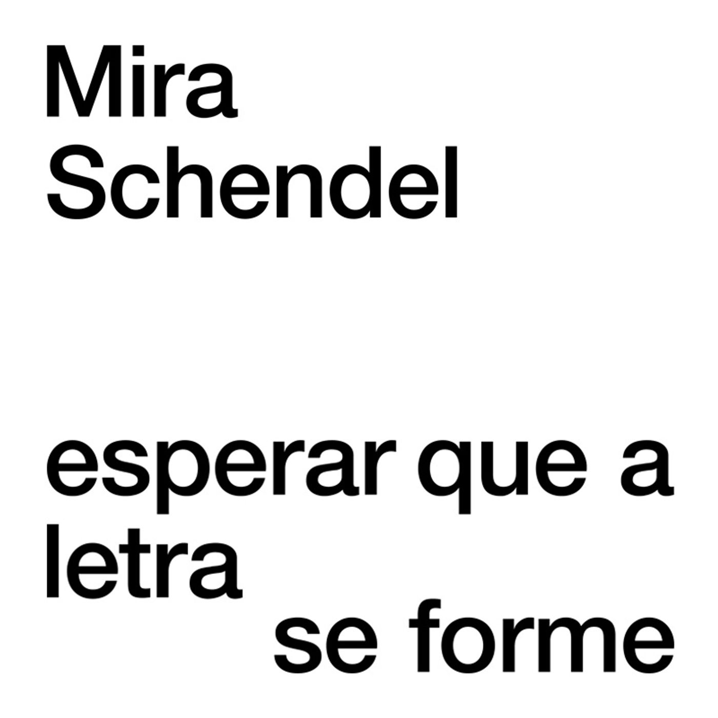 Audiodescrições - Mira Schendel
