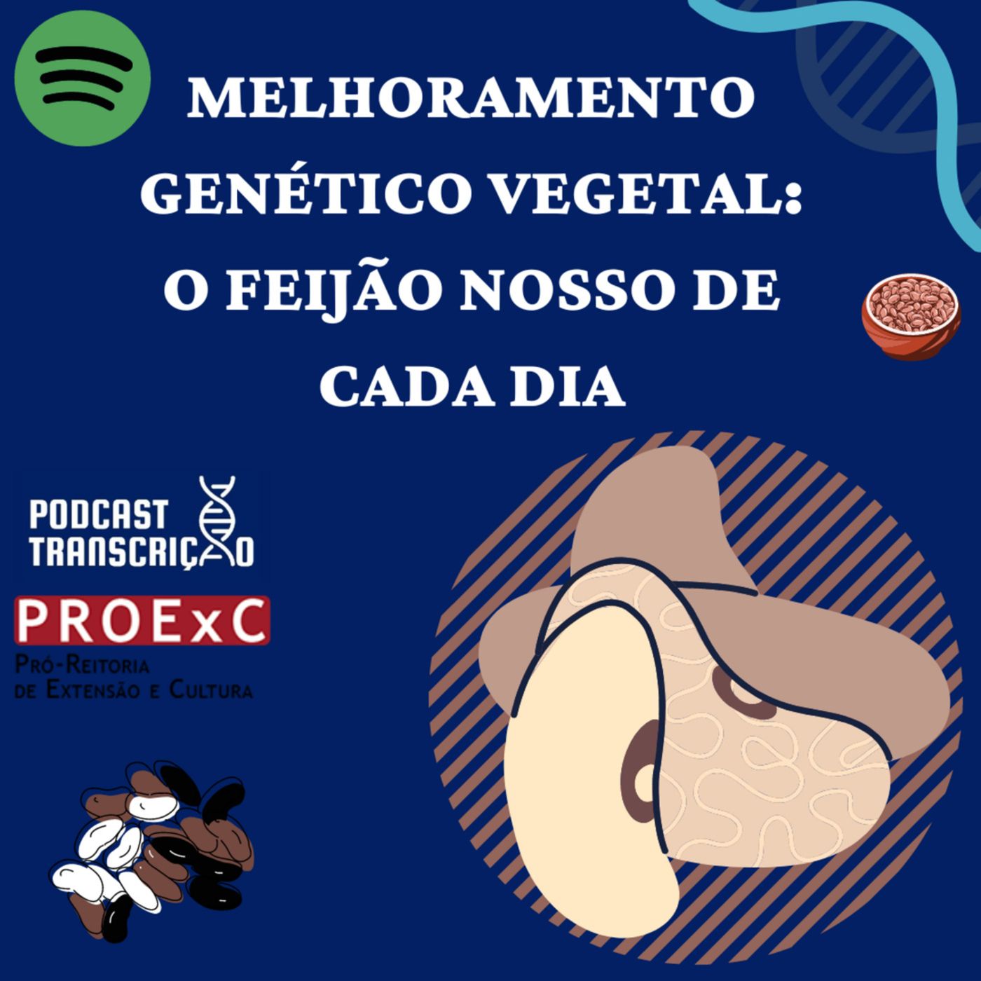 Podcast Transcrição