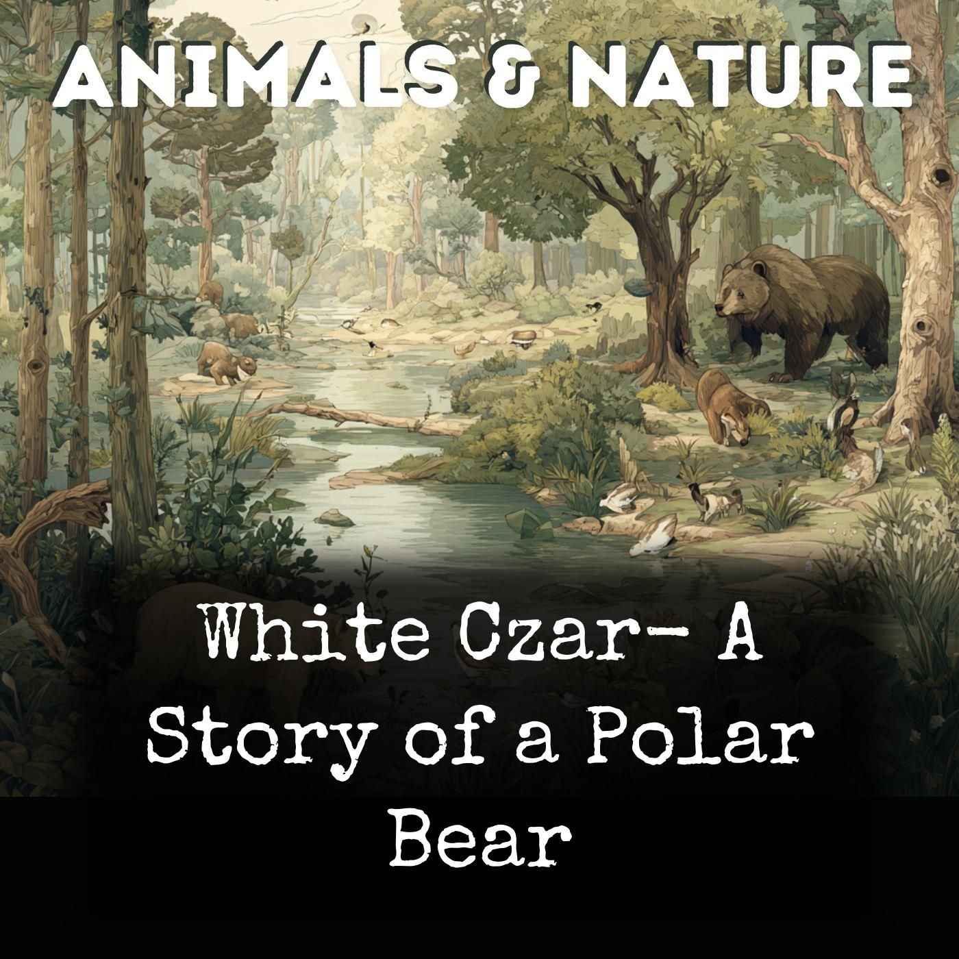 White Czar-  A Story of a Polar Bear cover art