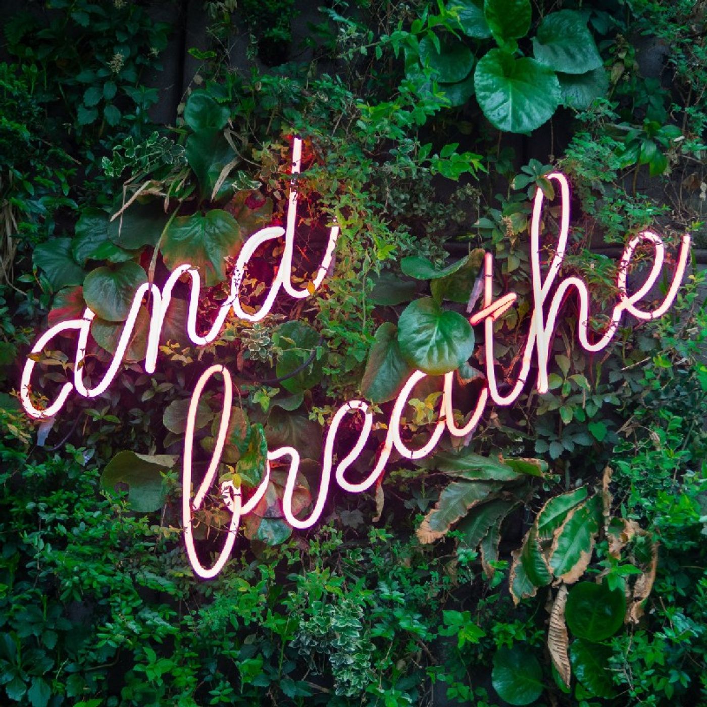Think Right, Live Right